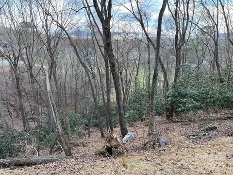 777 GLEN EAGLES Lane 177 Mills River NC 28759
