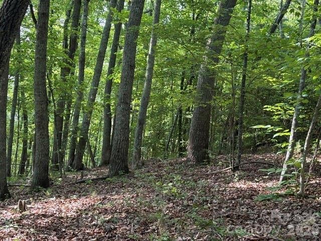 000 Gettys Road, Ellenboro, NC, 28040