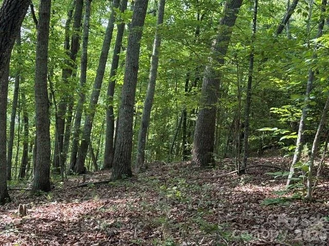 000 Gettys Road, Ellenboro, NC, 28040