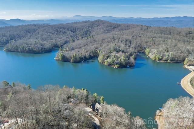 Connestee Falls - Residential