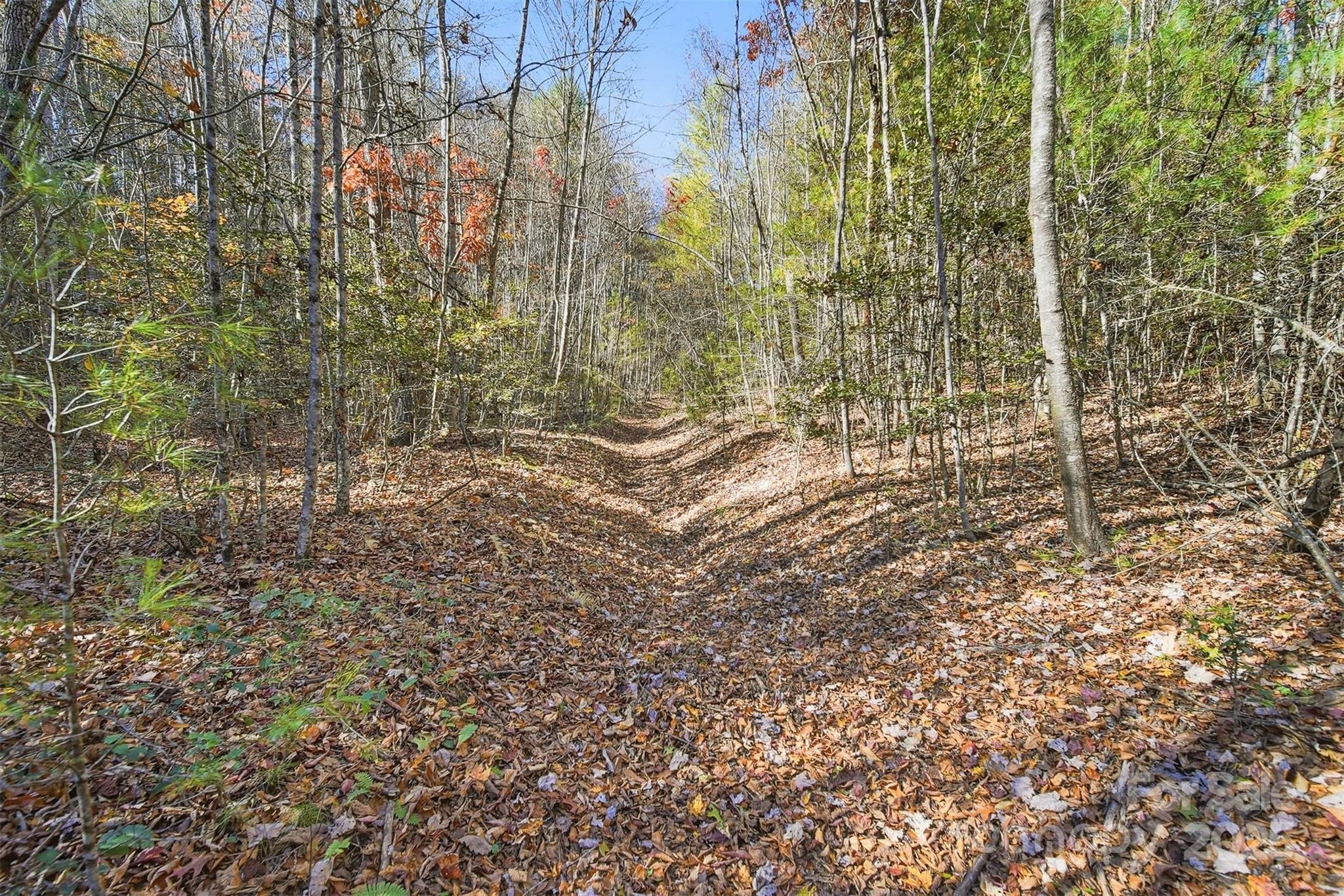 VL Indian Grave Road