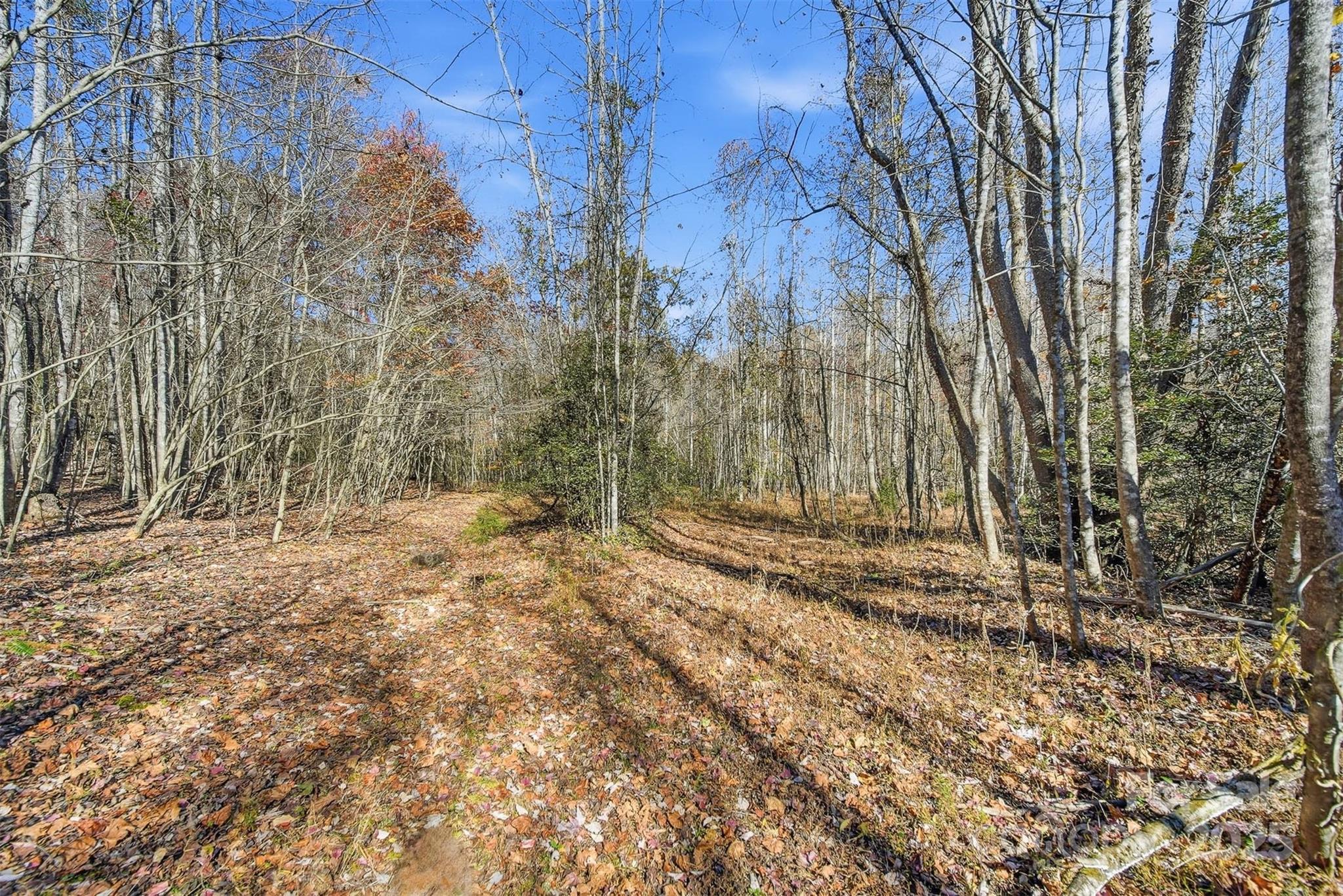 VL Indian Grave Road