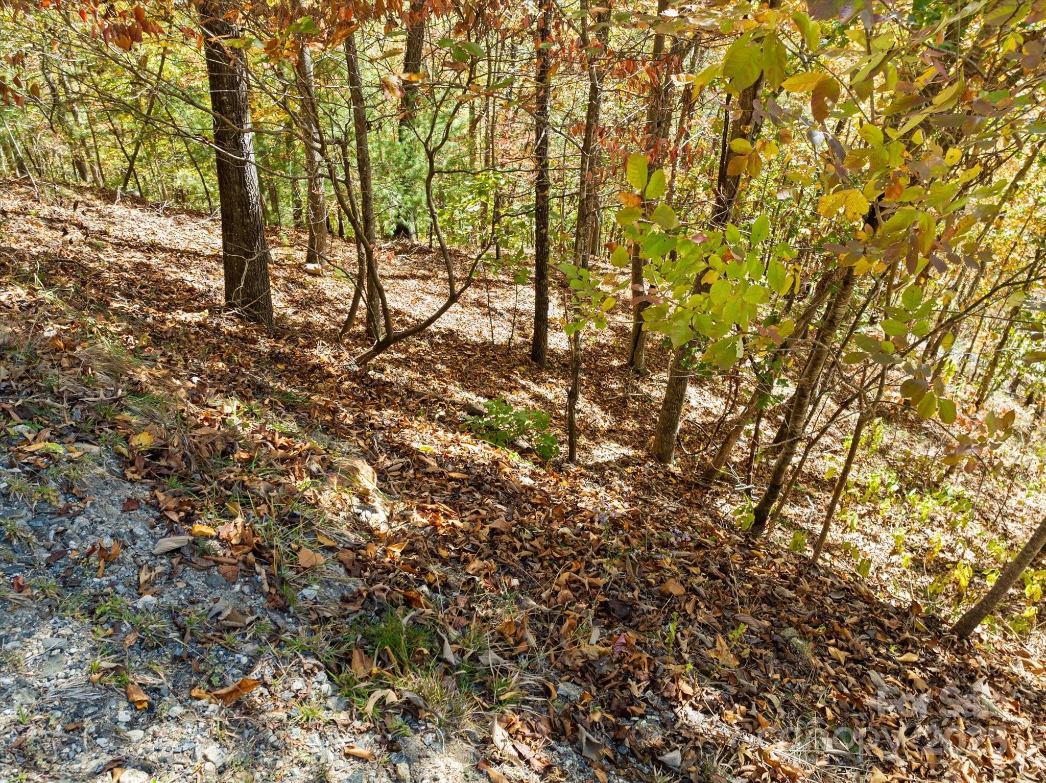 French Broad Crossing - Land