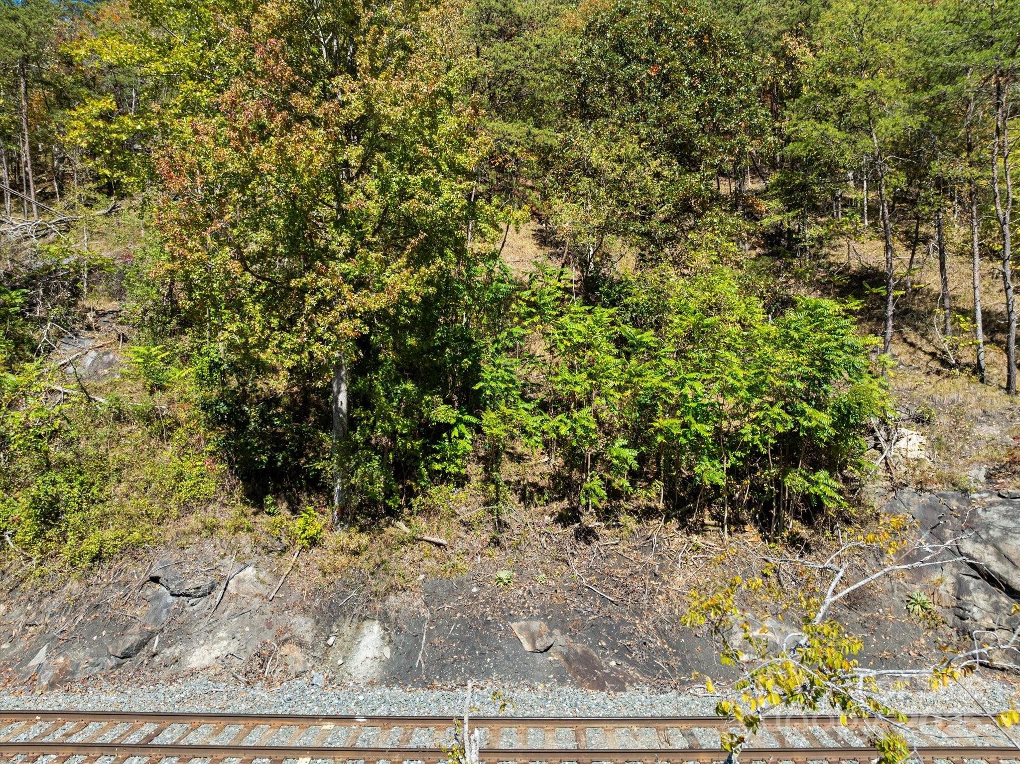 French Broad Crossing - Land