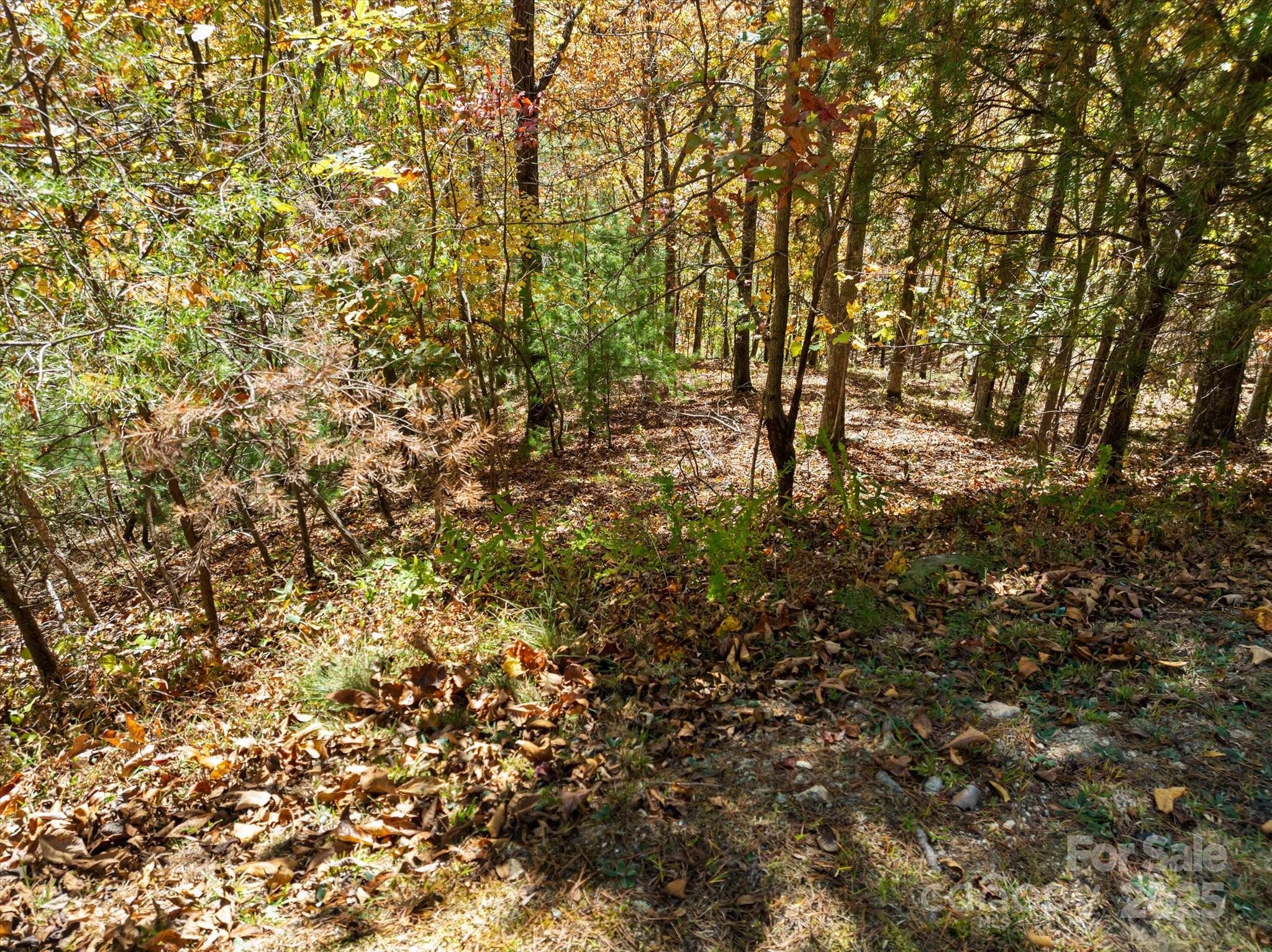 French Broad Crossing - Land