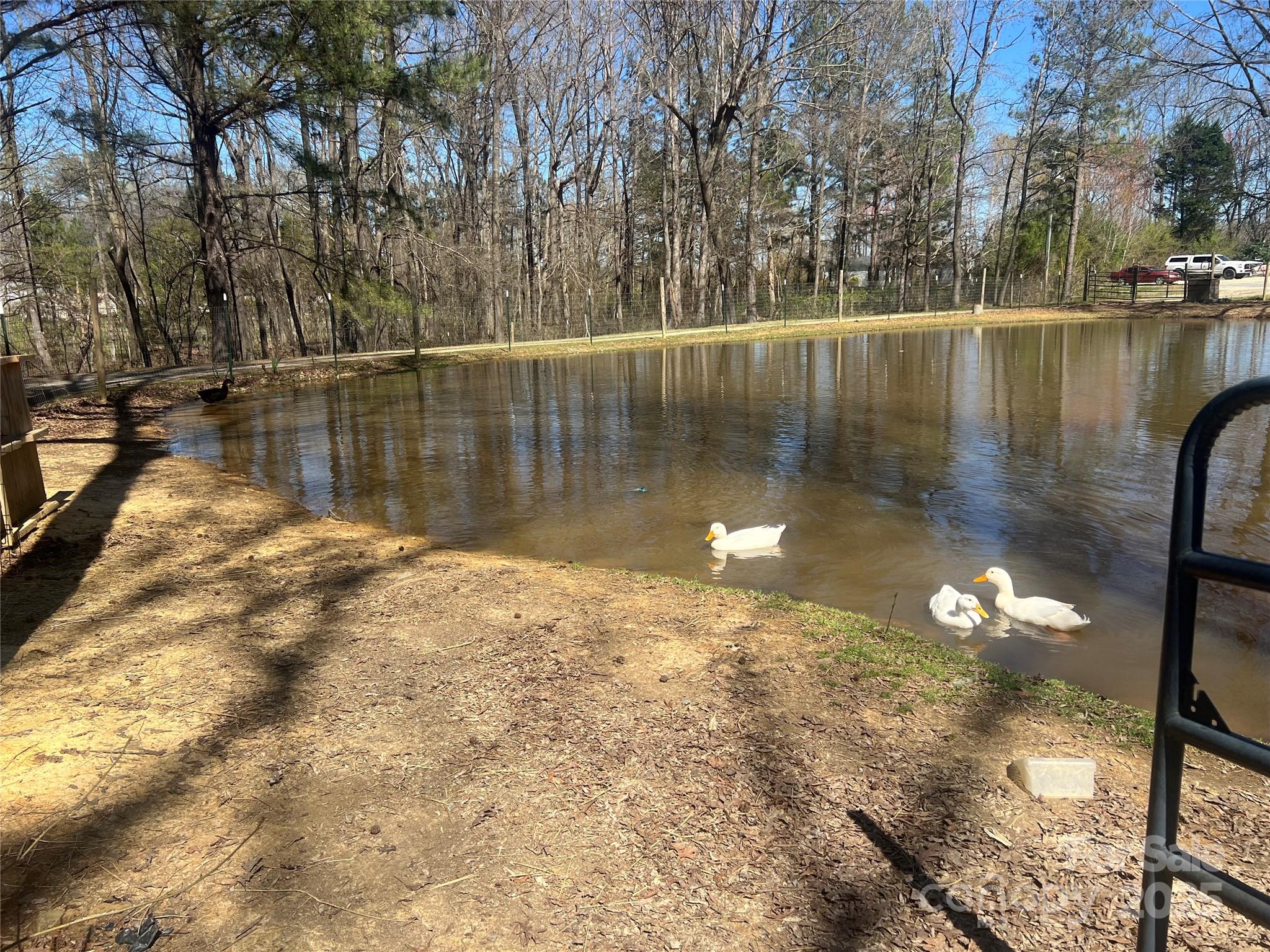 171 Courtney Place Lane