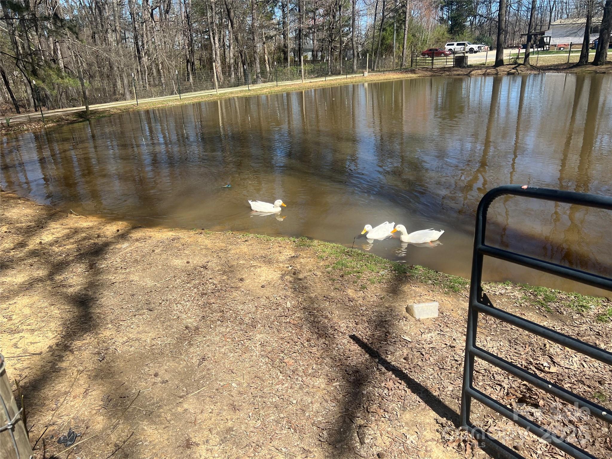 Courtney Place - Residential