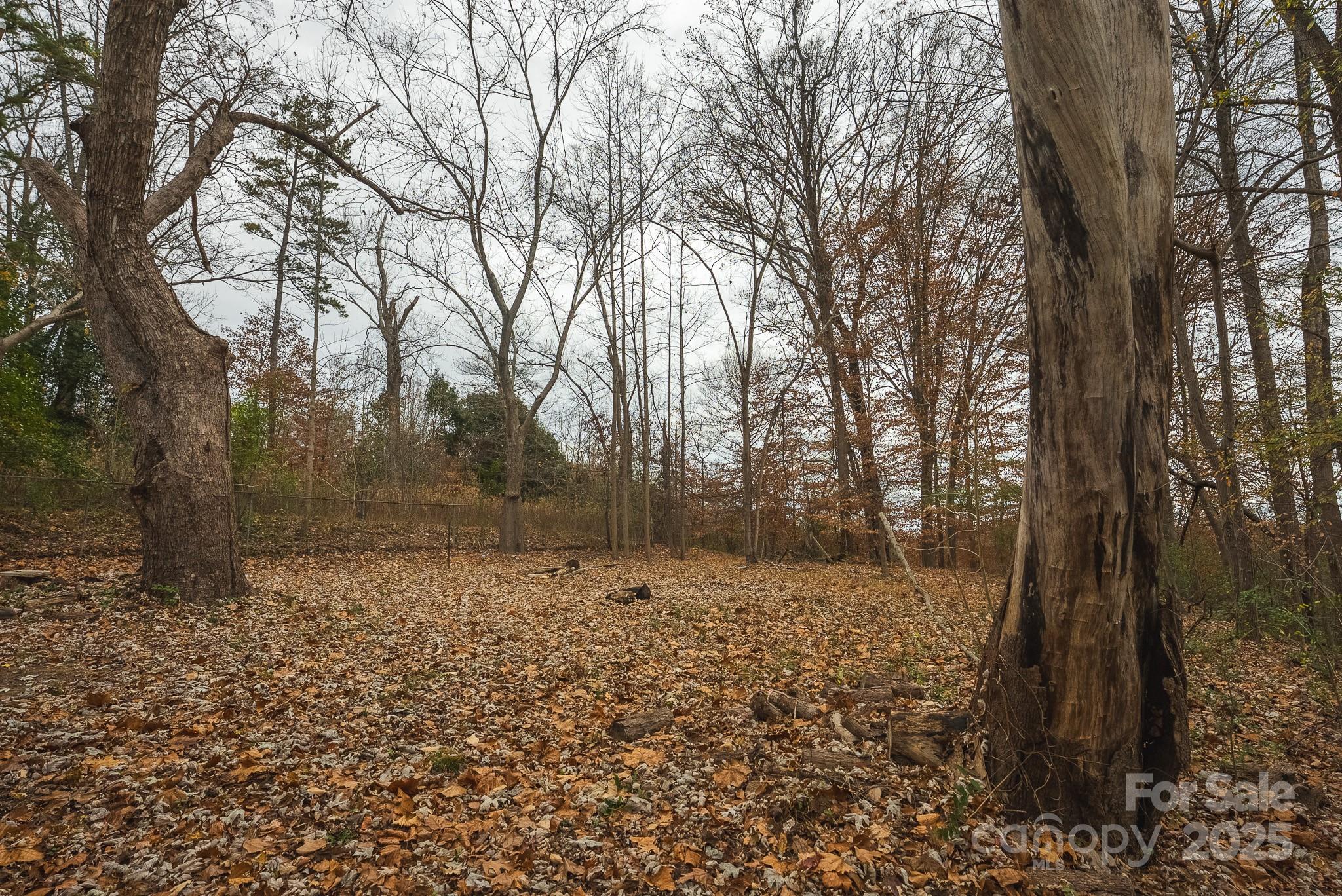 9336 Pinewood Avenue