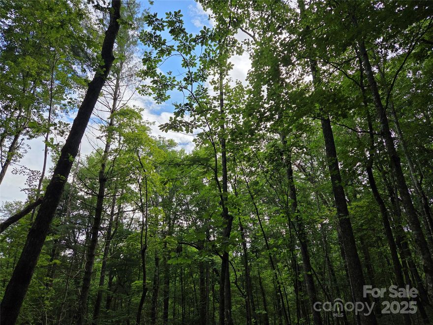 Develop your own private estate with no zoning or restrictions. This 10 plus acreage has an easement to Cedar Lane with is a state maintained road. Excellent build site at the top with potential views of Rich Mountain, the Parkway and to the East. A well traveled trail runs along the top side of the property. Just minutes to Dupont State Forest and Caesar's Head, the location could not be better. Cedar Mountain has become a thriving community of shops, restaurants and even a yoga studio! Don't miss out on this opportunity to build your custom home in a beautiful part of our country.