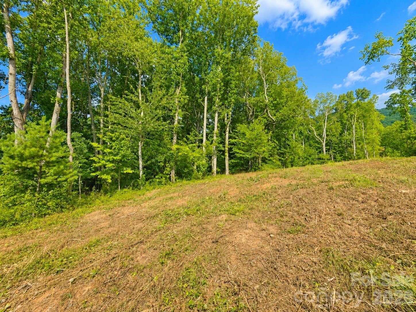 271 Sorrells Cove Road C2