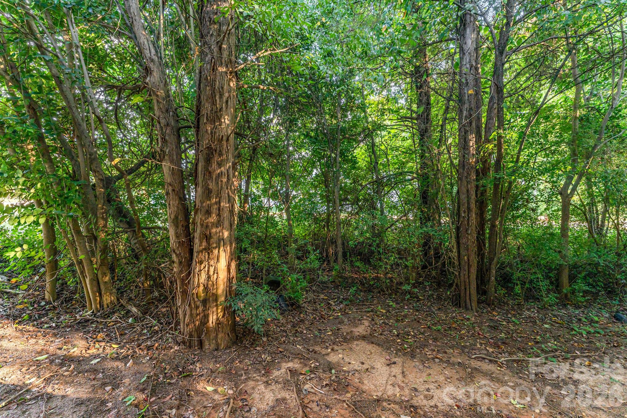 North End Commons - Residential