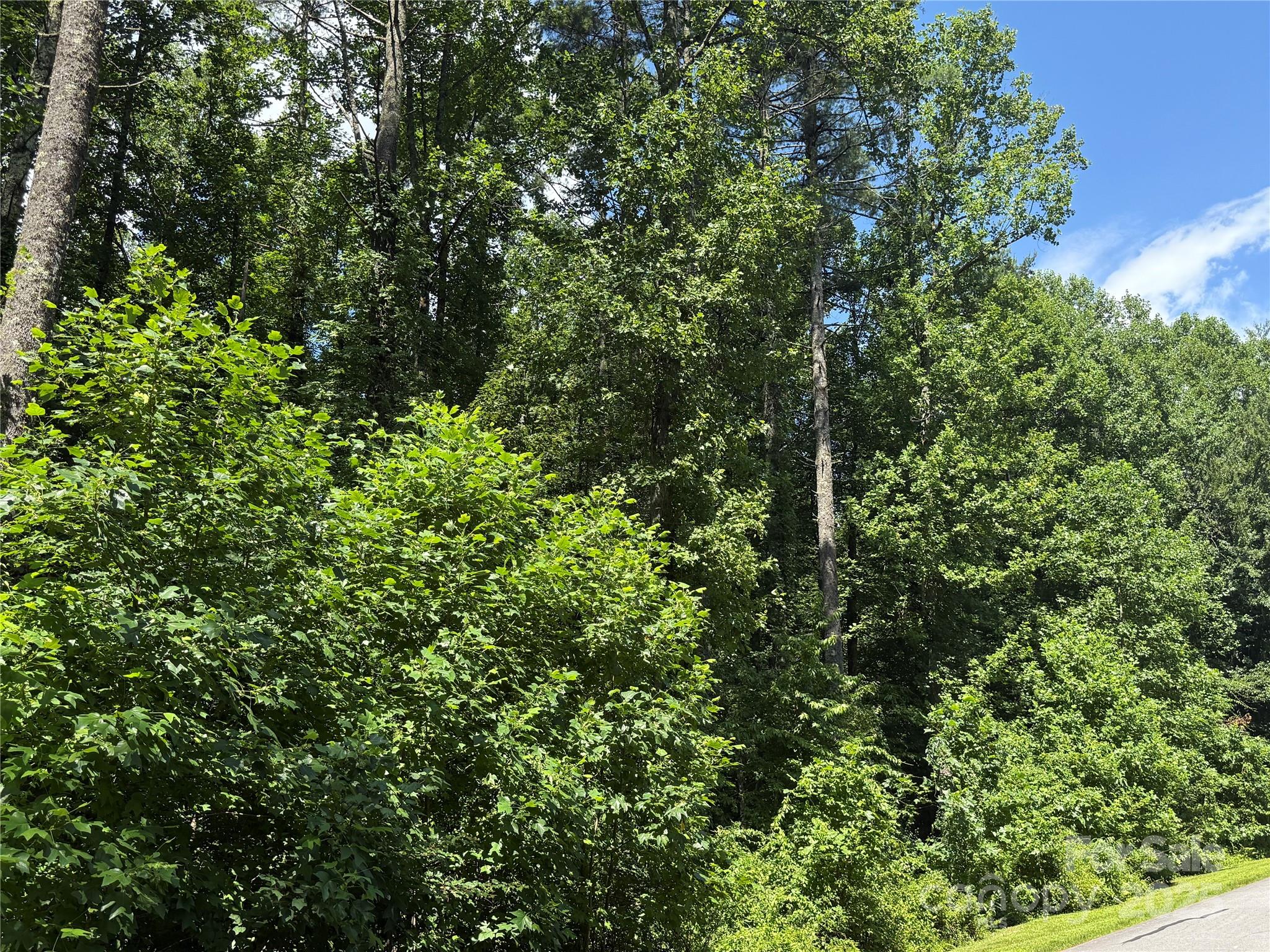 00000 Mountain Brook Trail 37
