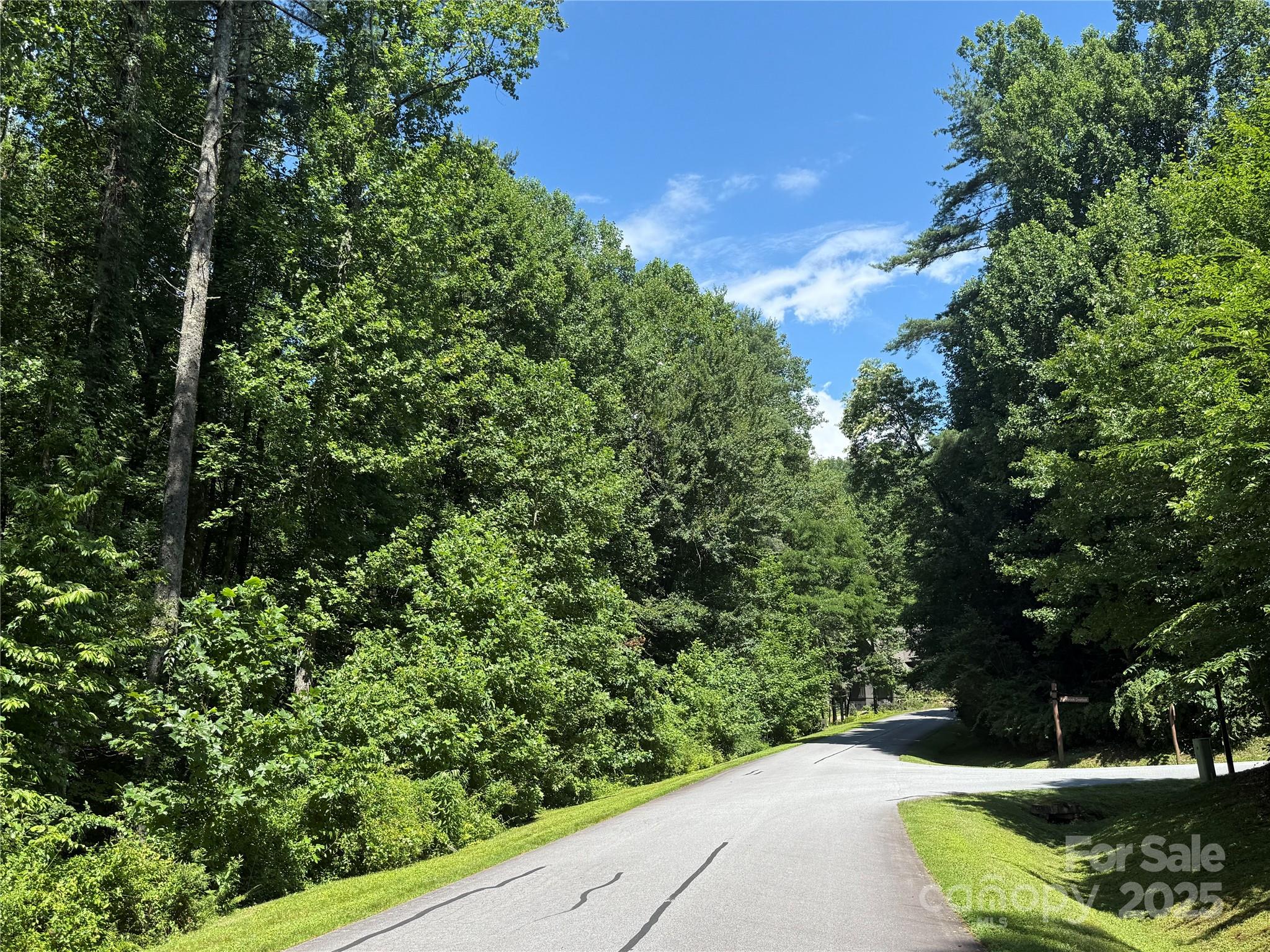 00000 Mountain Brook Trail 37