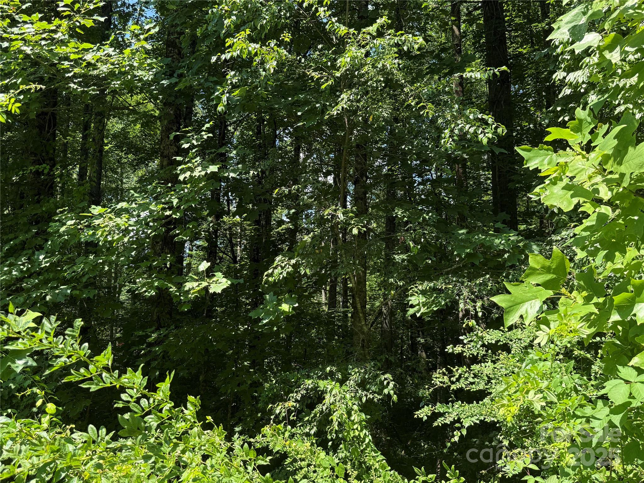 Mountain Brook - Land