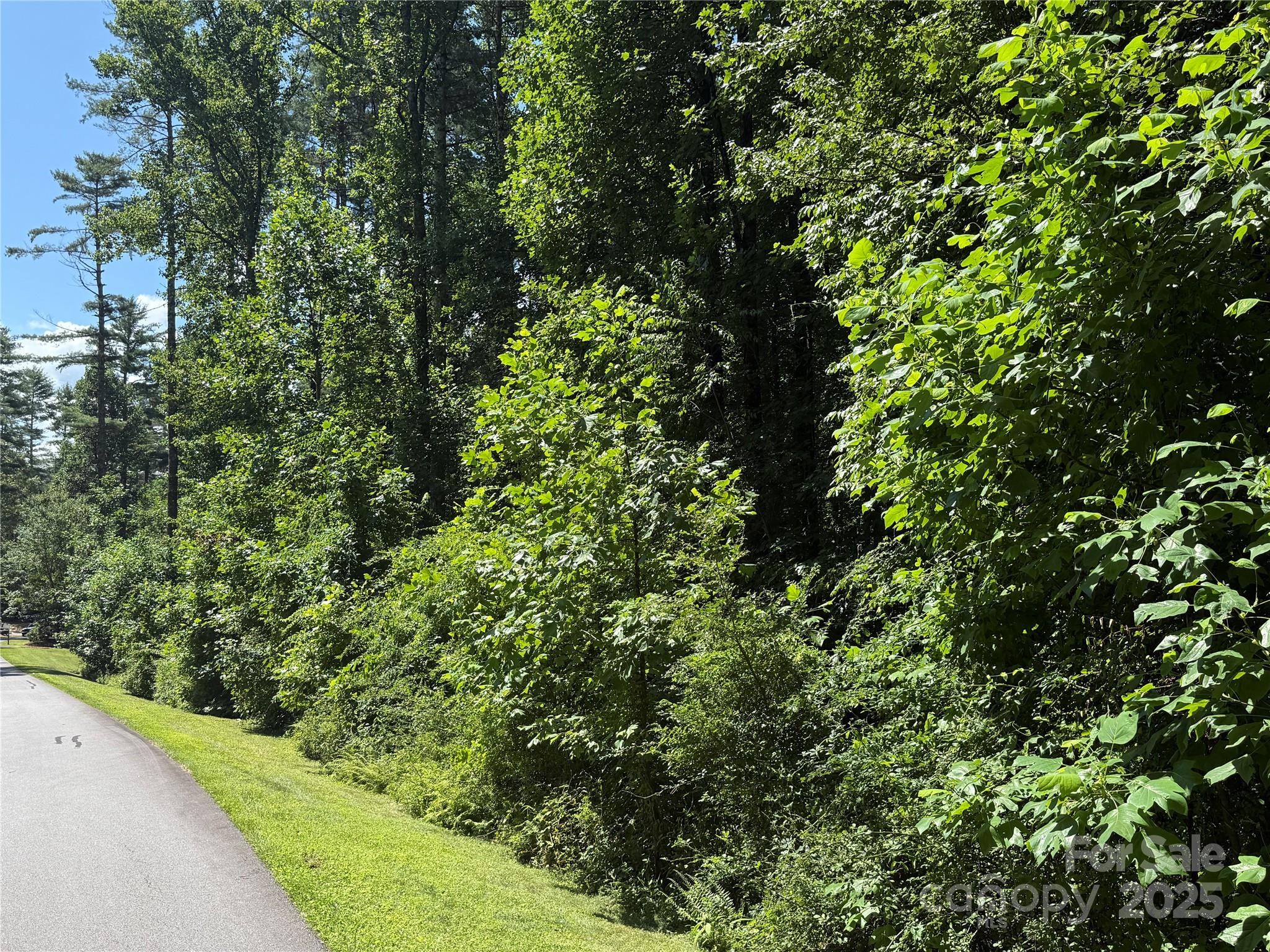 Mountain Brook - Land