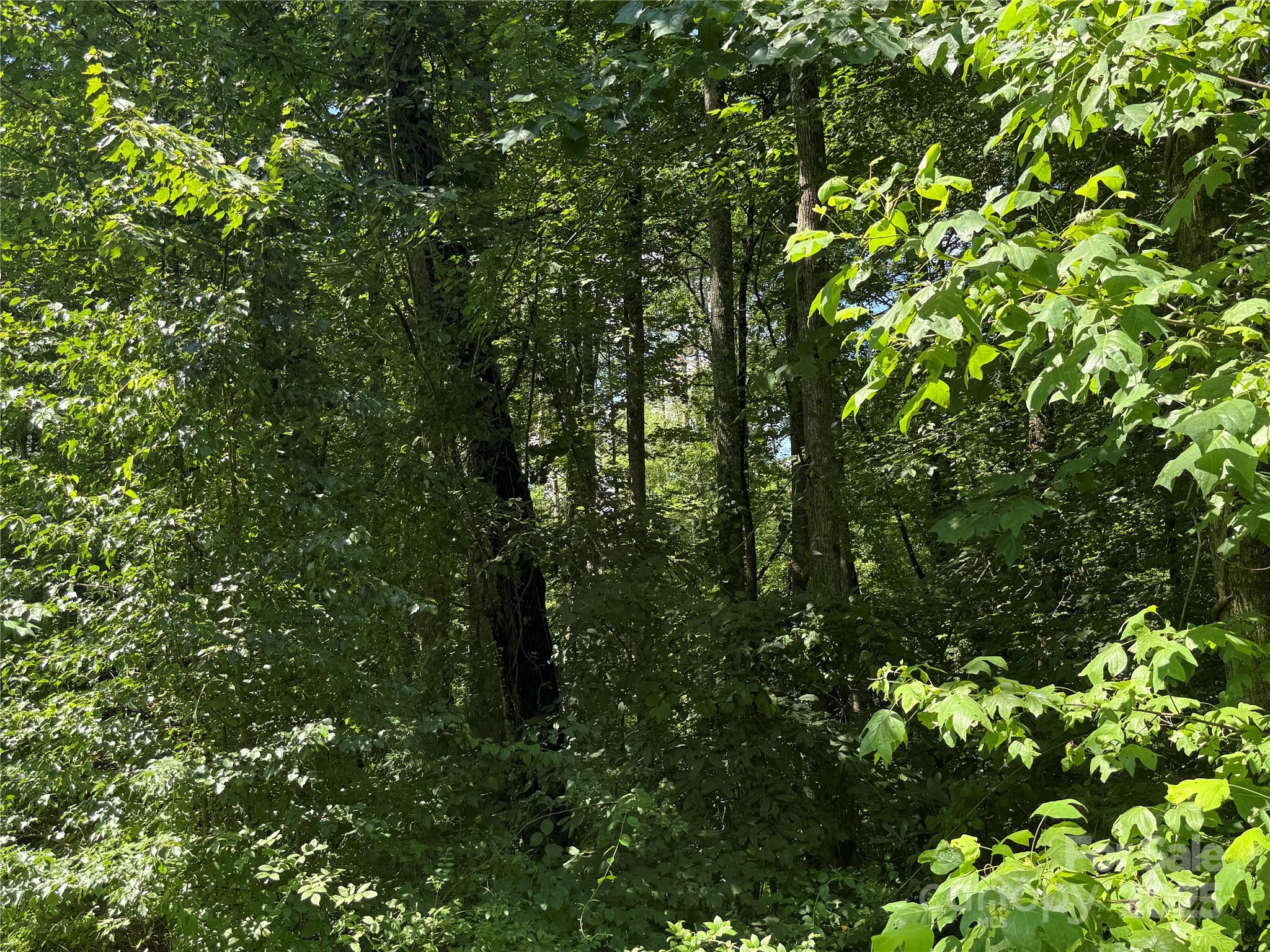 Mountain Brook - Land