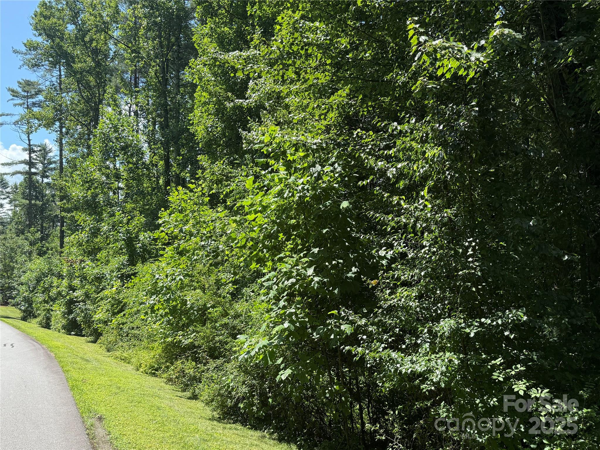 Mountain Brook - Land