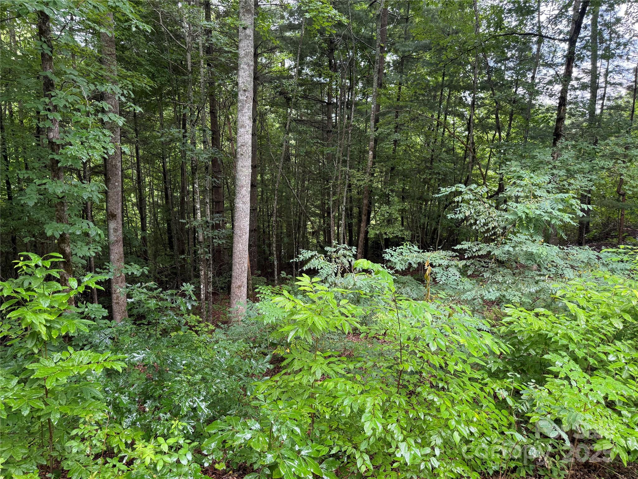 Lot 6 Garnet Road