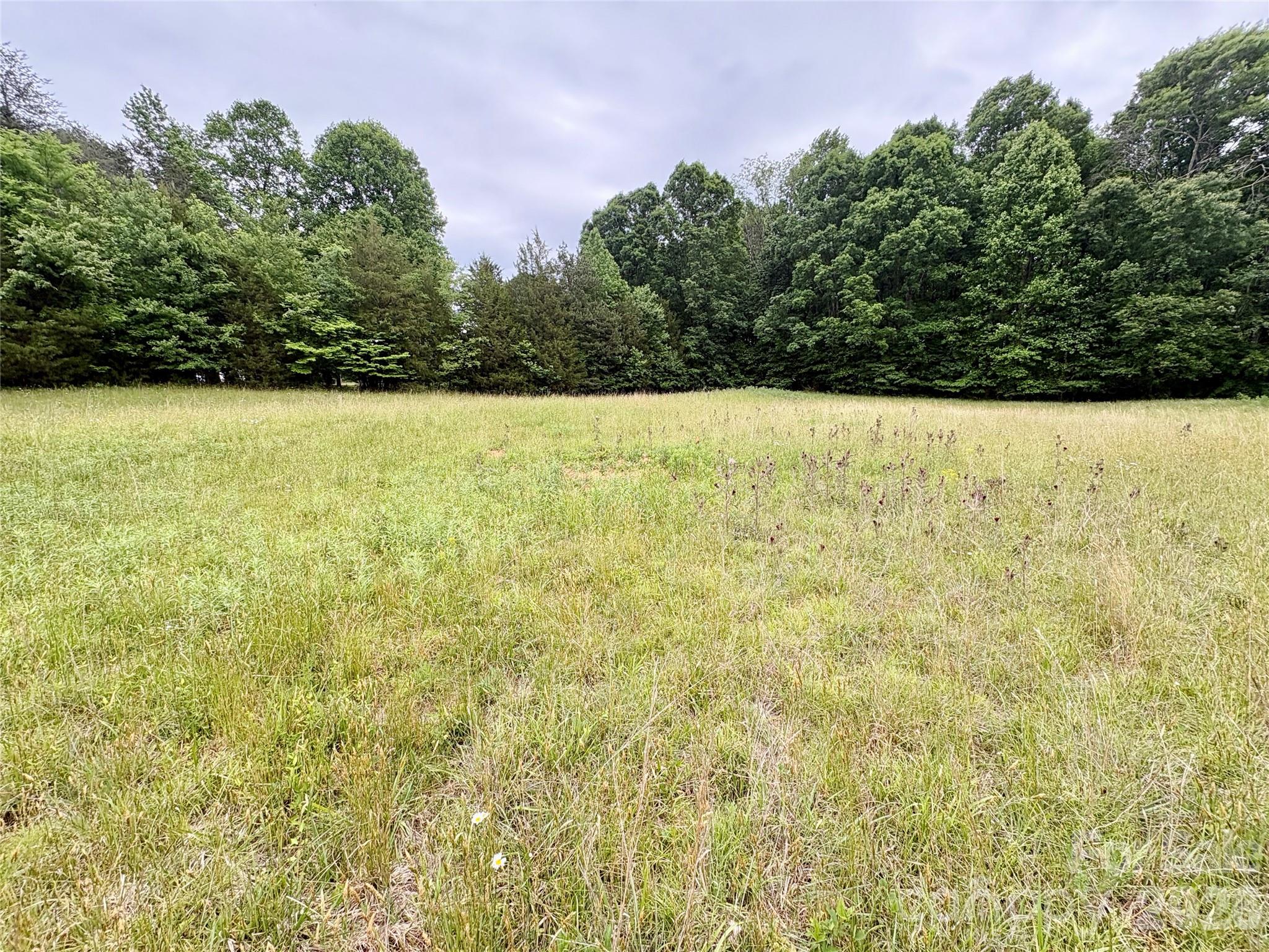 254 Beechwood Farm Road 1