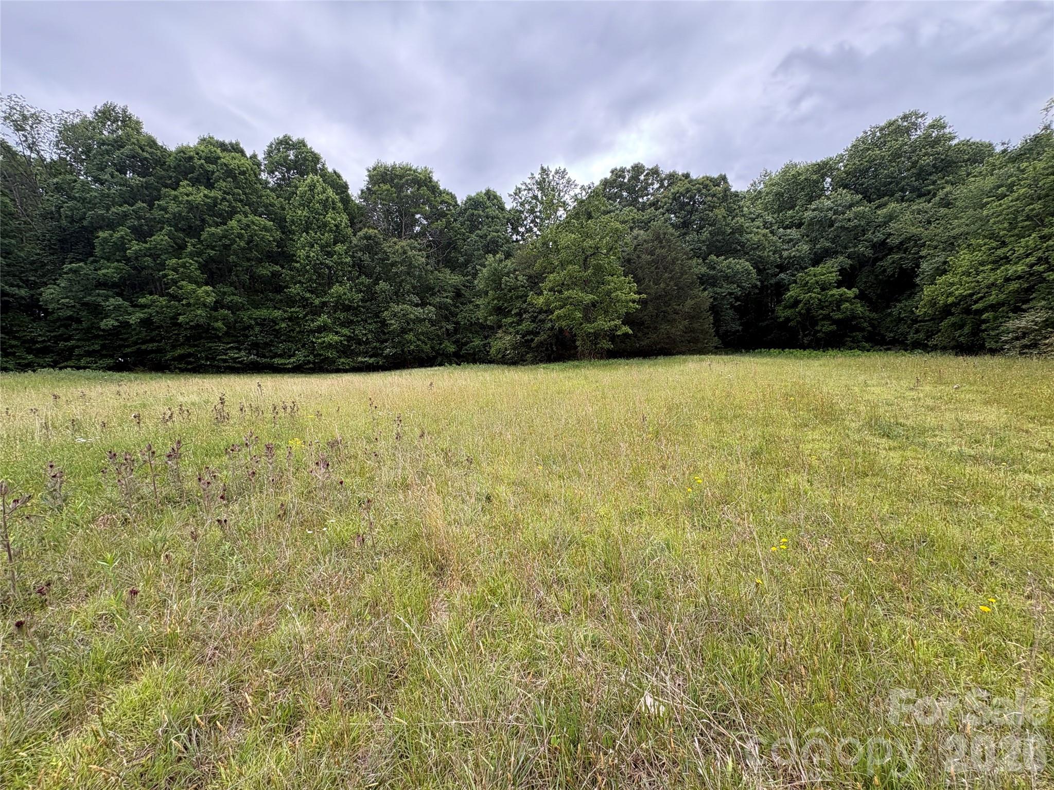 254 Beechwood Farm Road 1