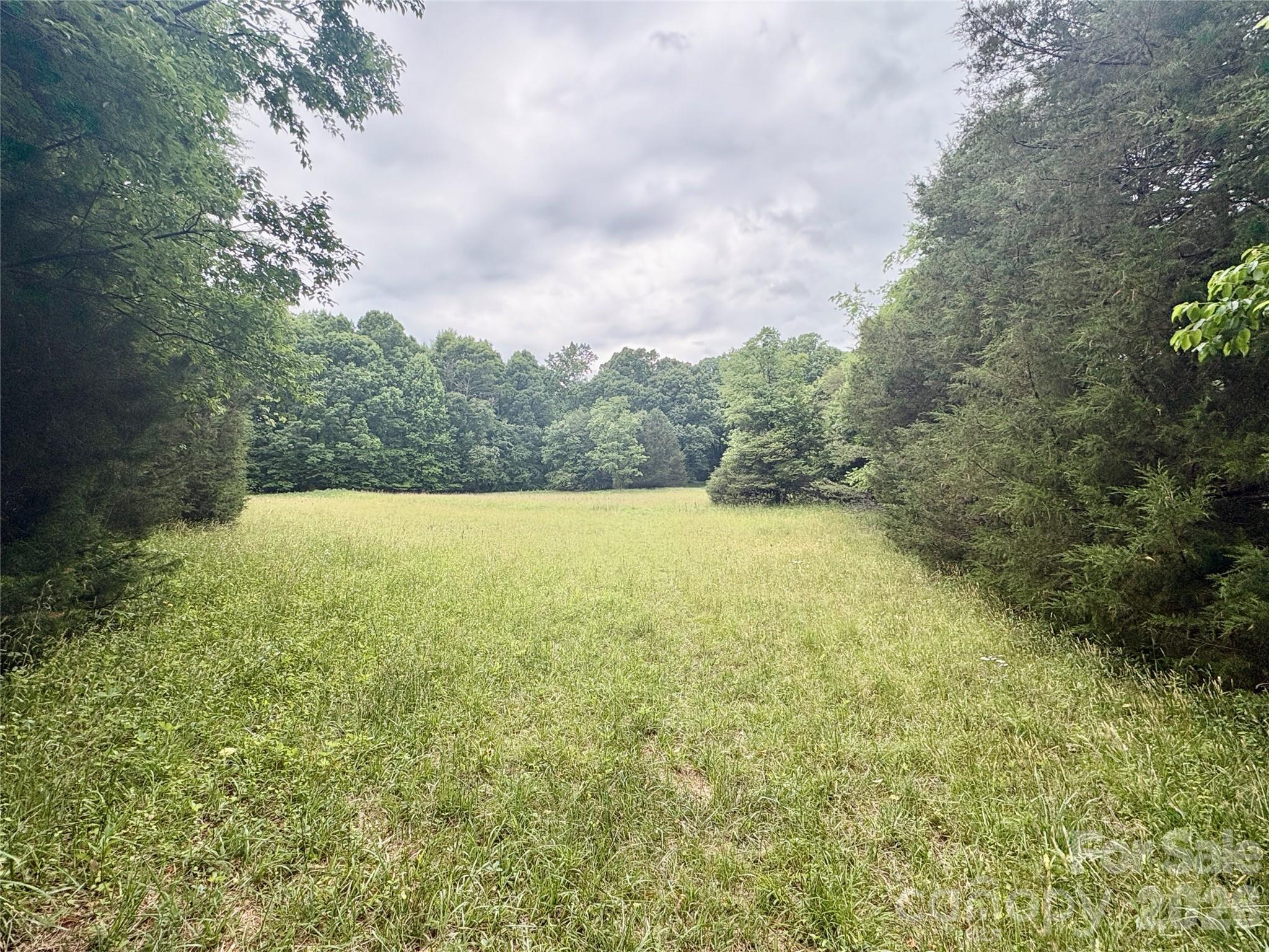 254 Beechwood Farm Road 1