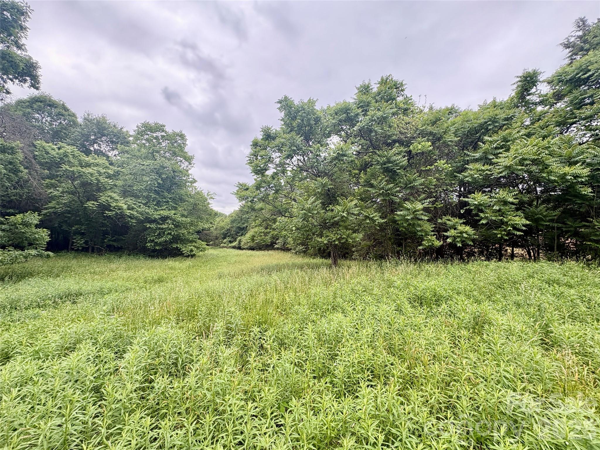 254 Beechwood Farm Road 1