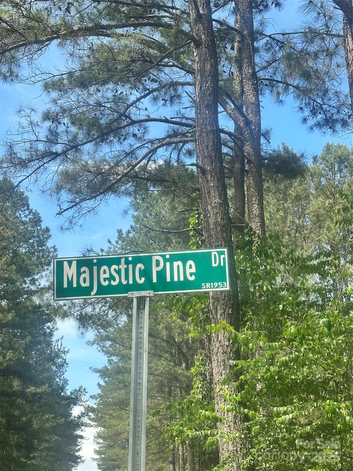 00 #24 Majestic Pine Drive 24
