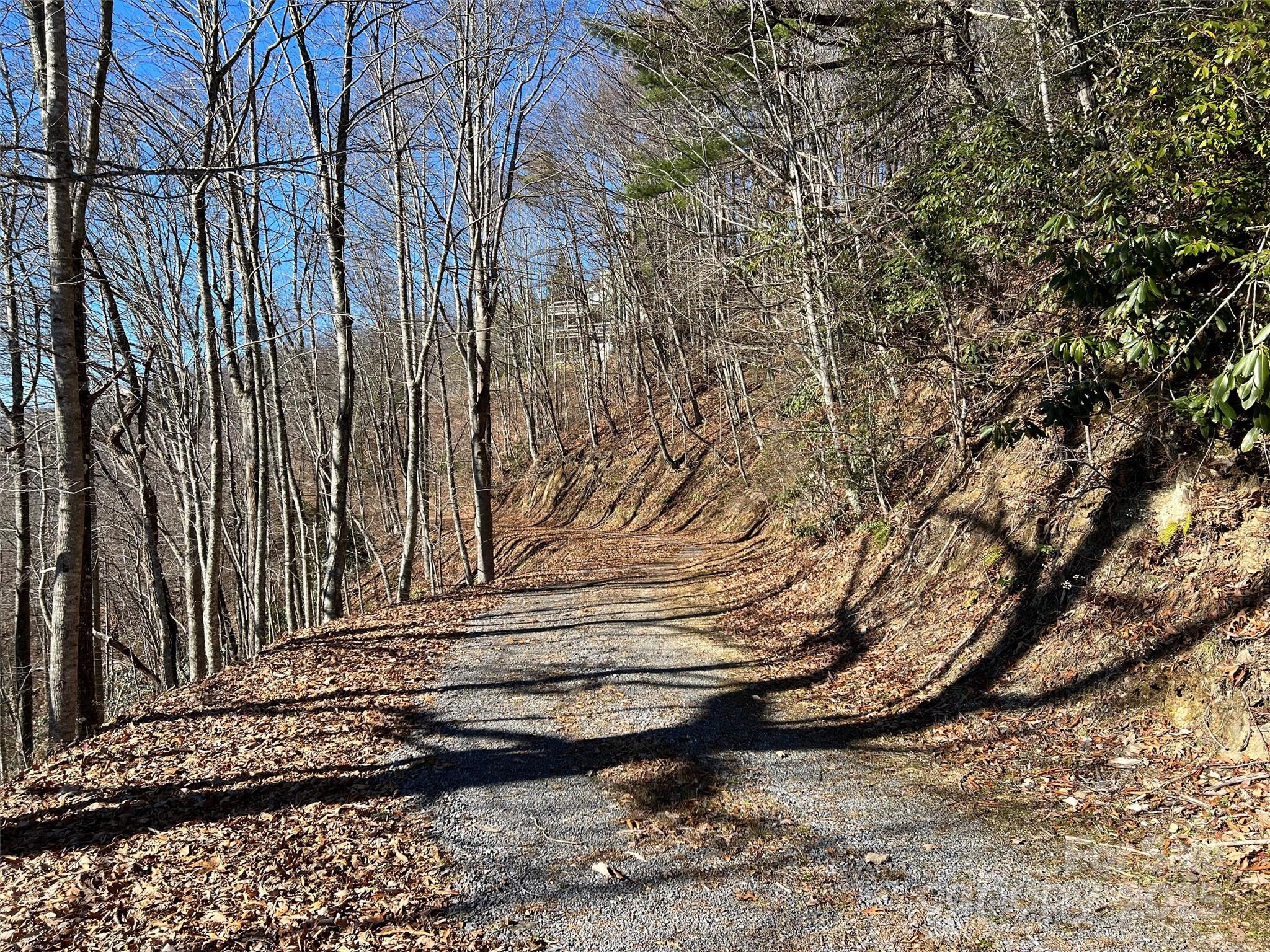 Hurricane Ridge Ltd - Land