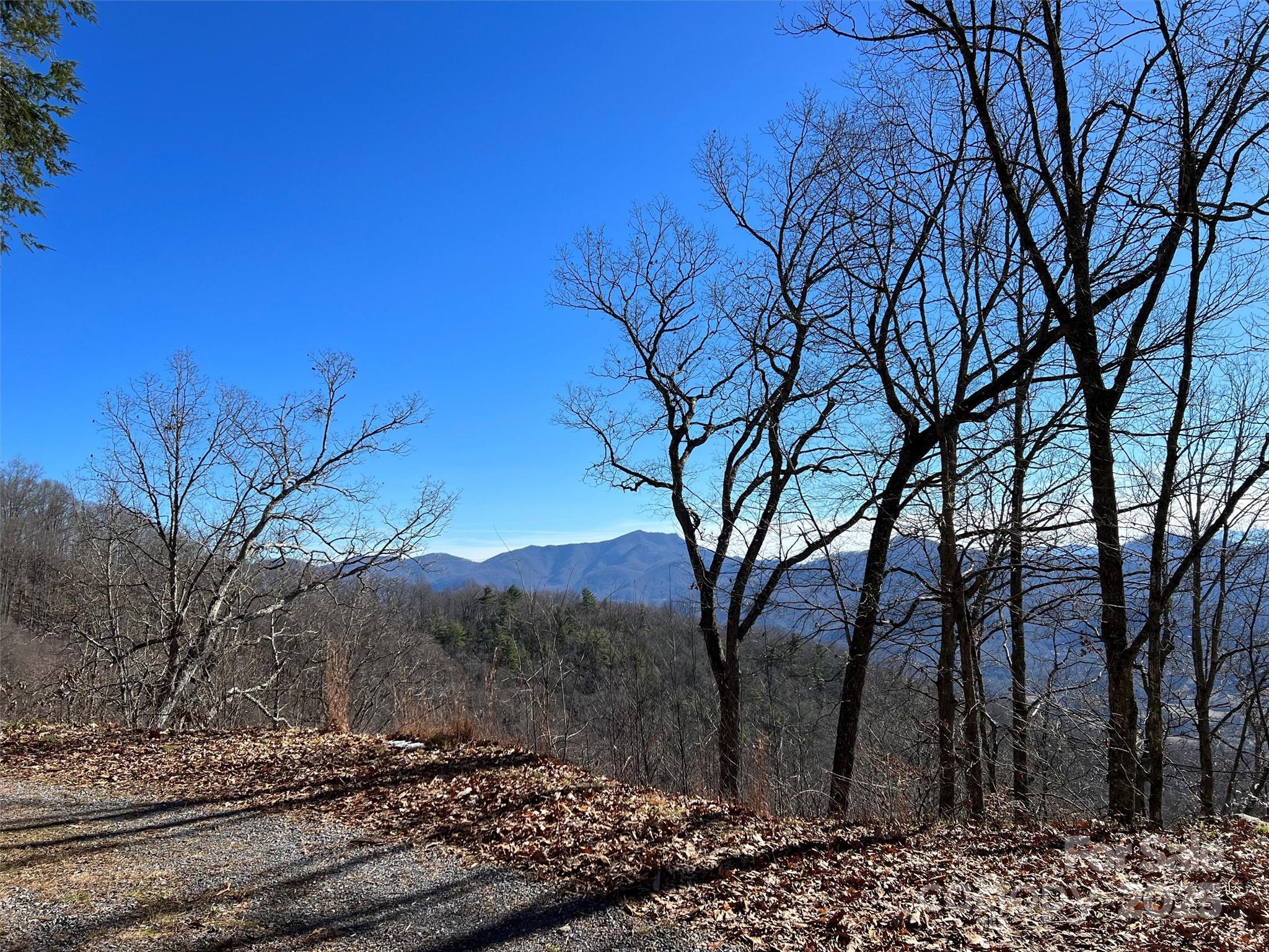 Hurricane Ridge Ltd - Land