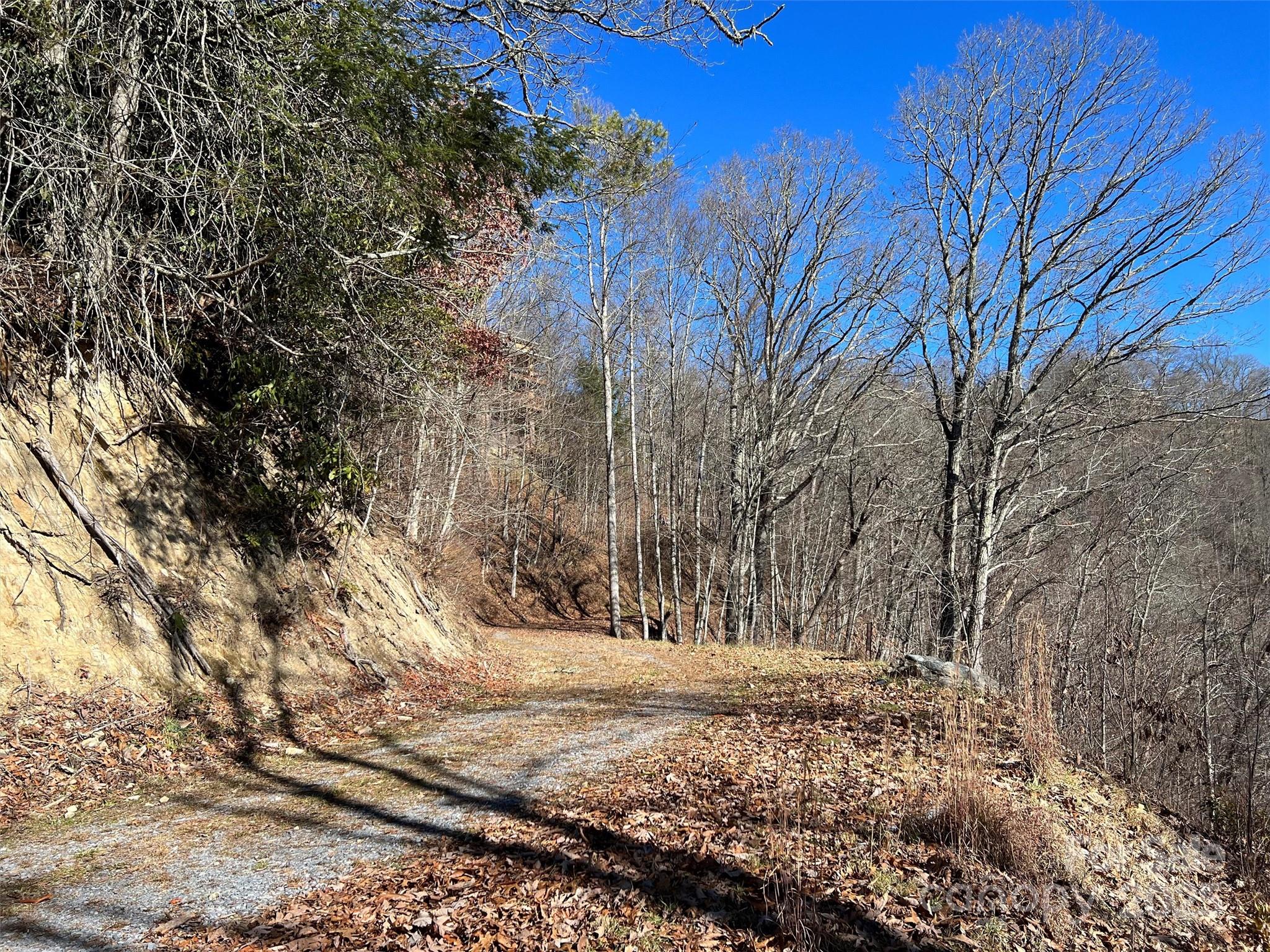 Hurricane Ridge Ltd - Land