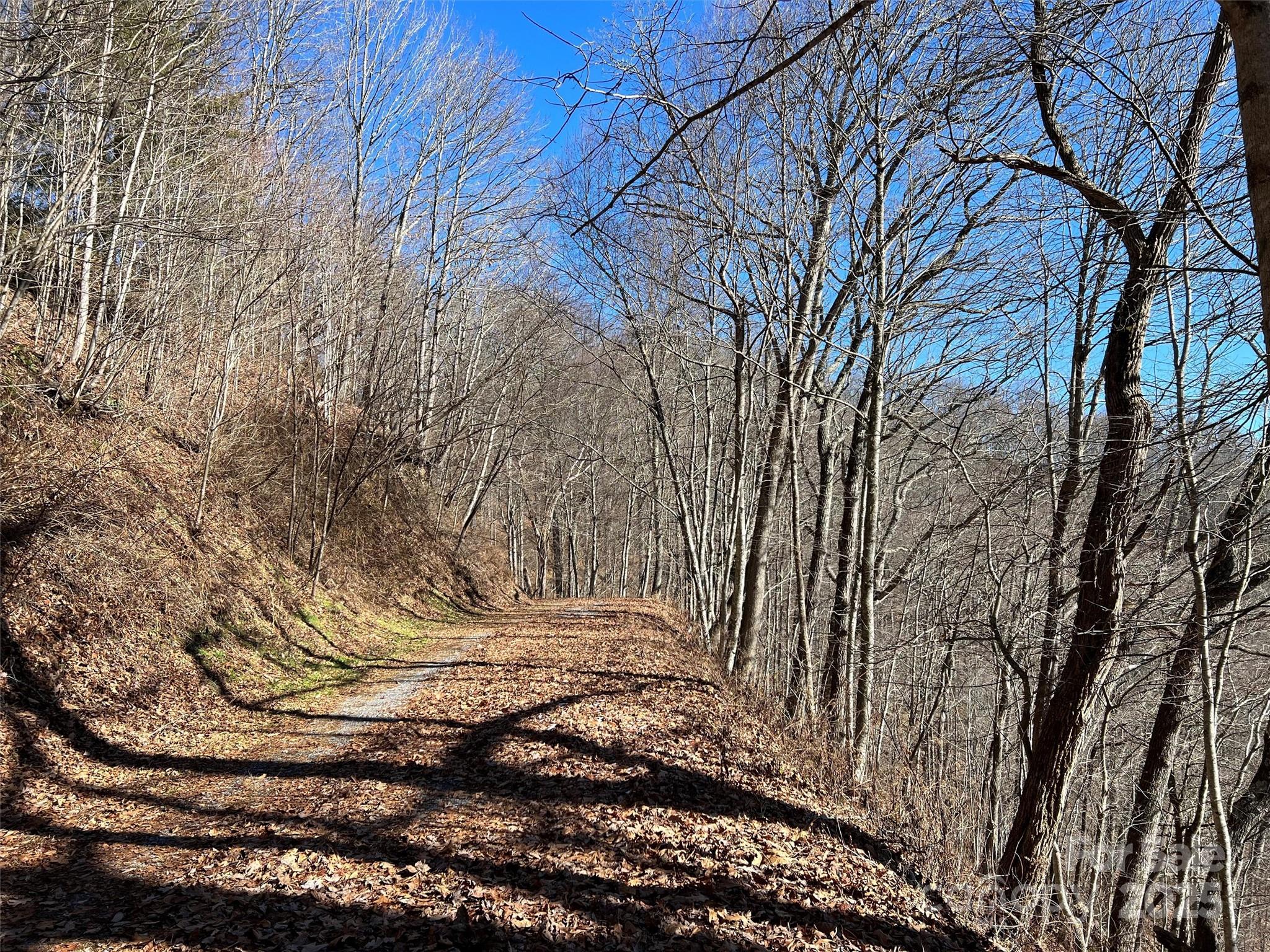 Hurricane Ridge Ltd - Land