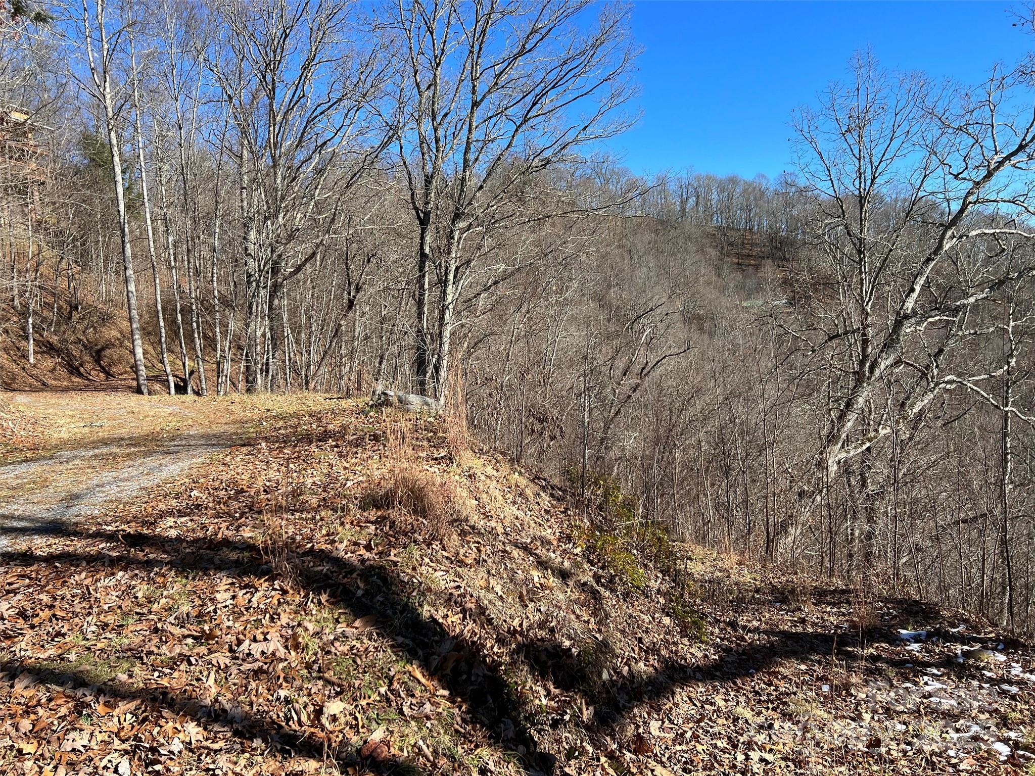 Hurricane Ridge Ltd - Land