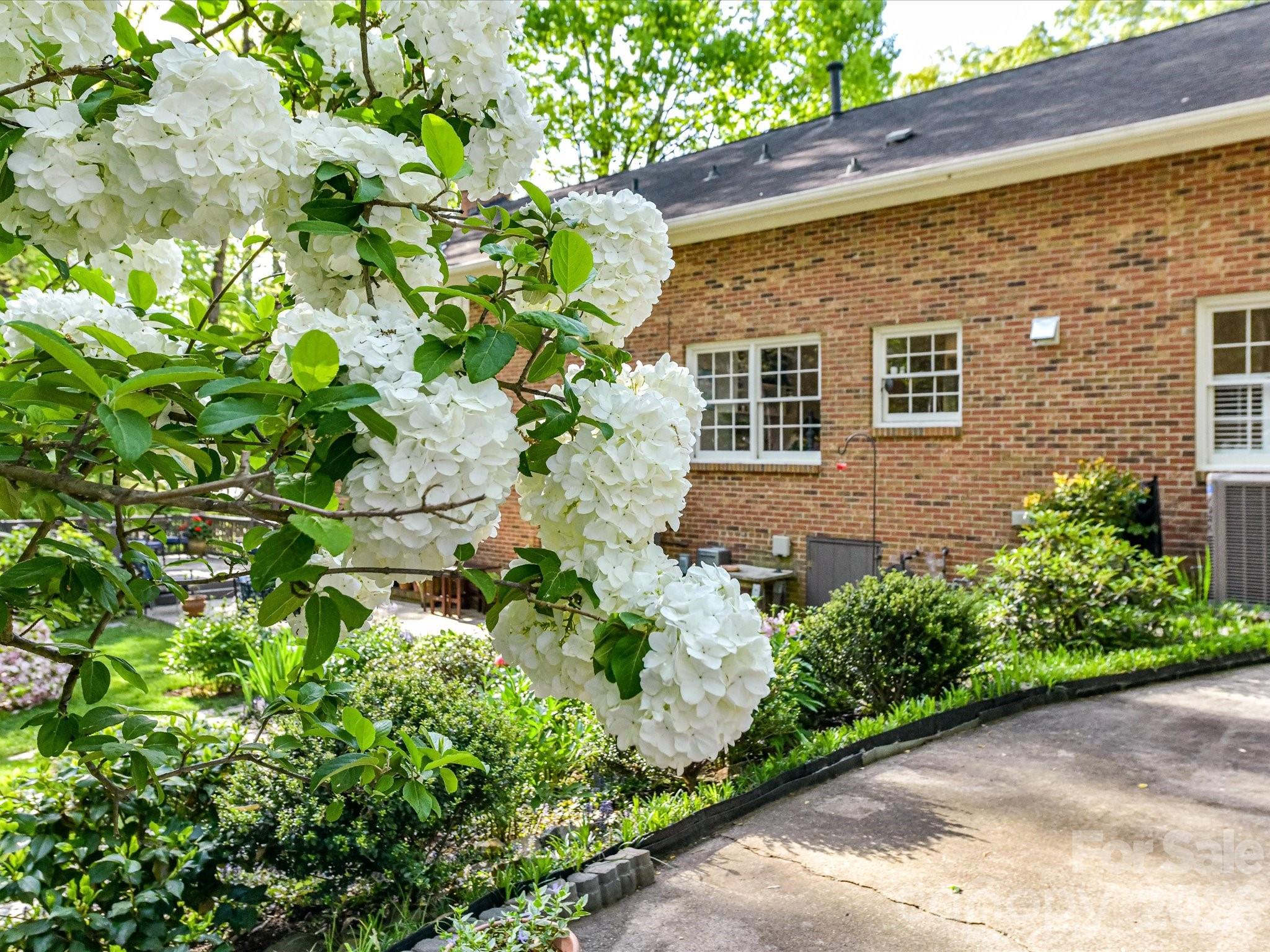 Beverly Woods East - Residential