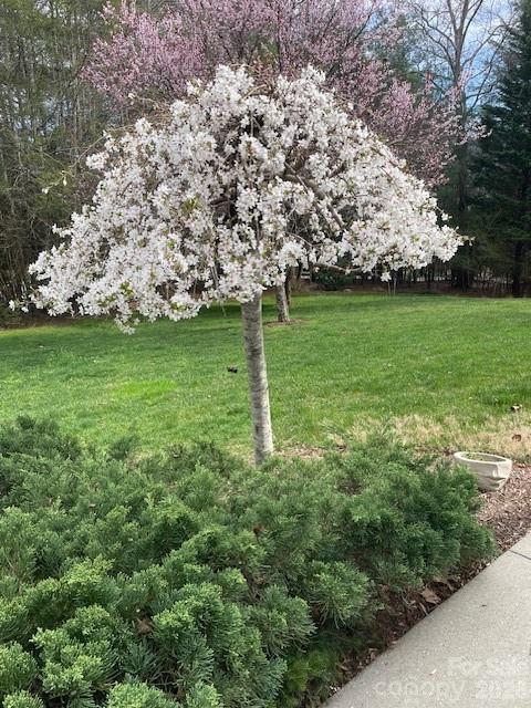 Kanuga Forest - Residential