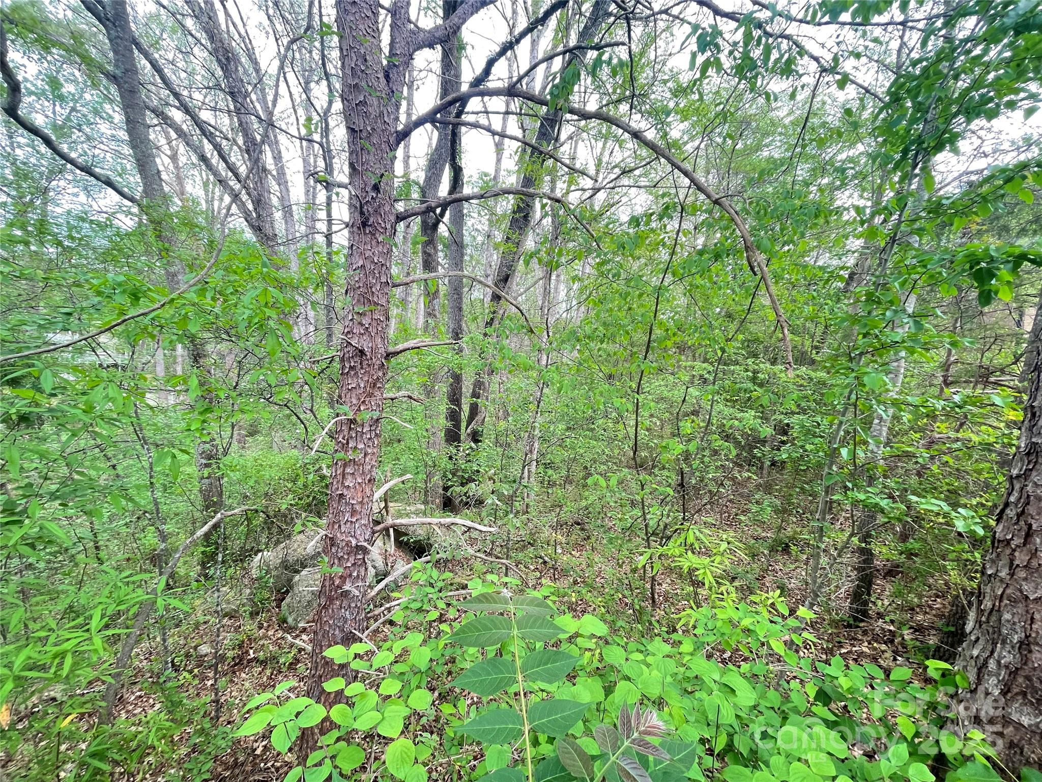 Northwood Acres - Land