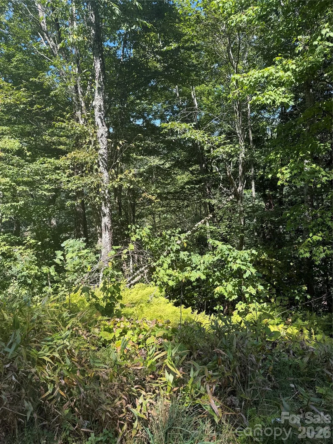 110 Chestnut Lane, Mars Hill, NC, 28754