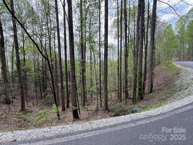 Fontana Lake Estates - Land