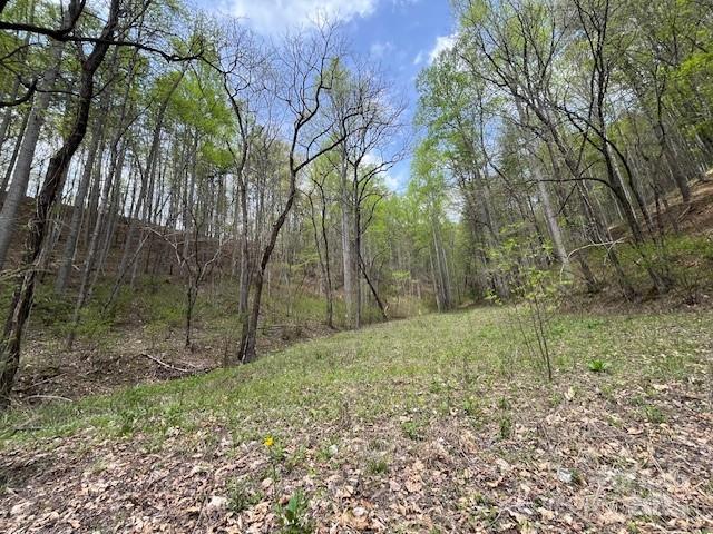 Fontana Lake Estates - Land
