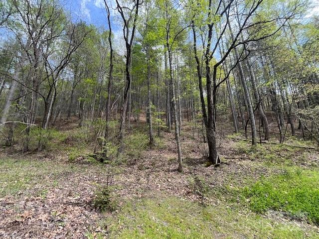 Fontana Lake Estates - Land