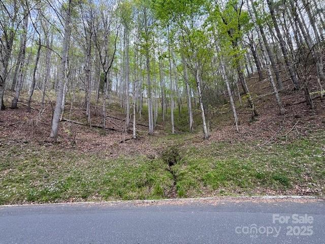 Fontana Lake Estates - Land