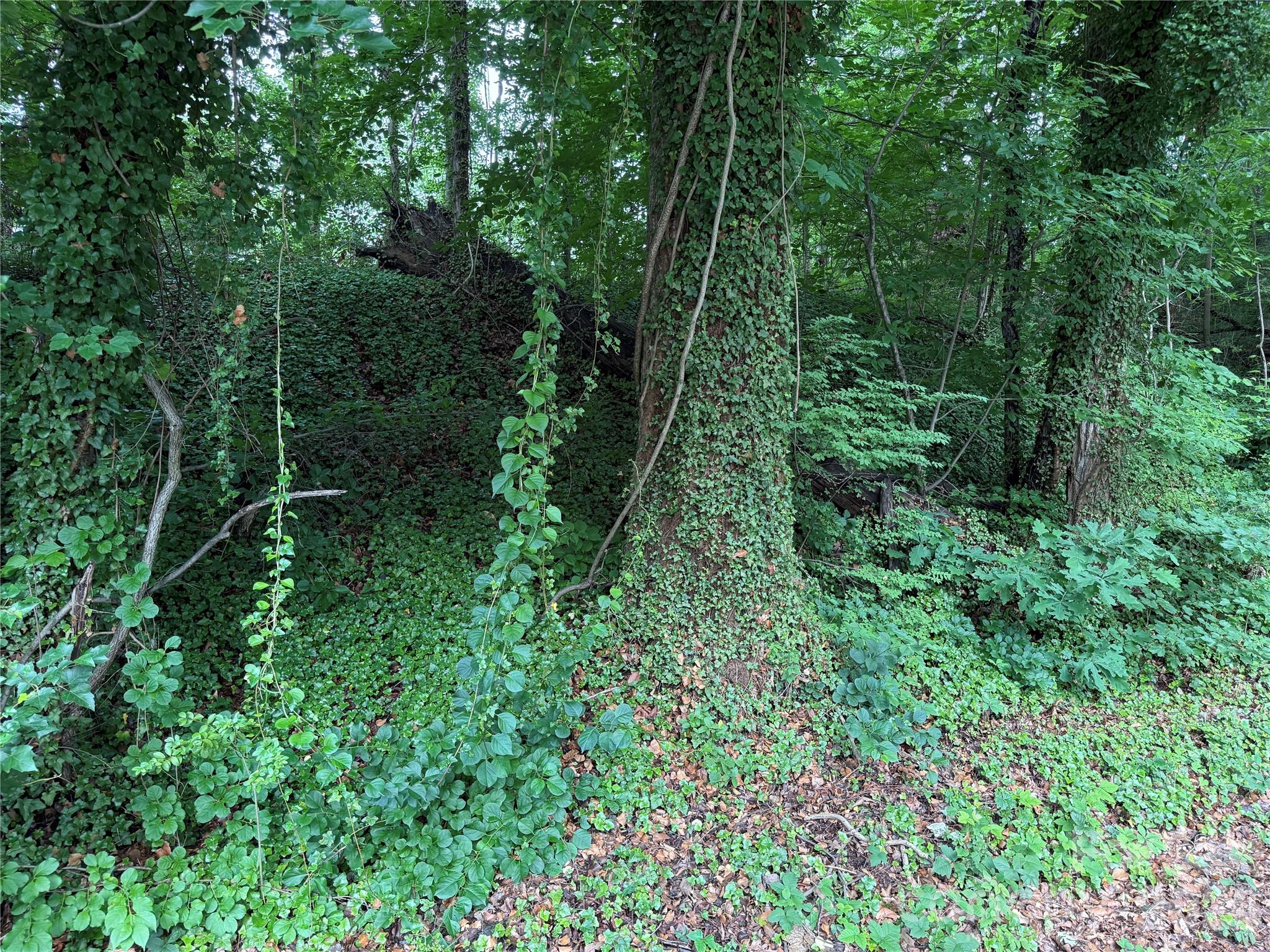 Chedworth Hills - Land