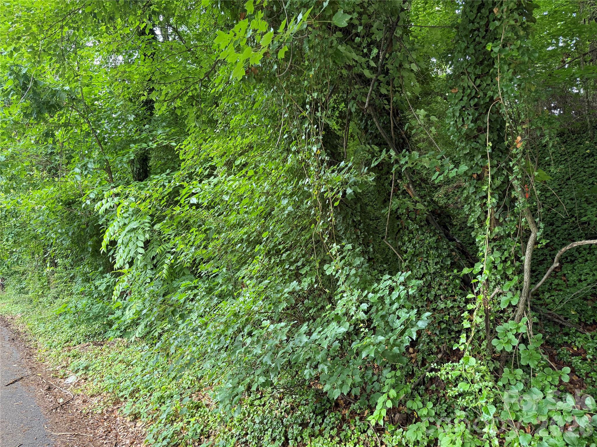 Chedworth Hills - Land