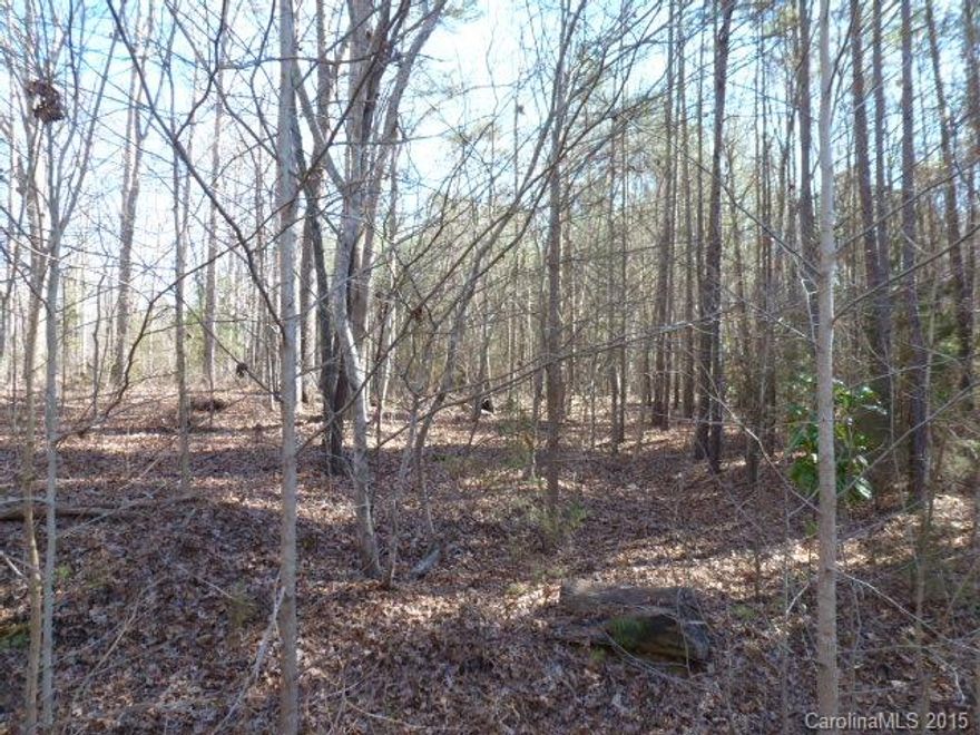 Wood, private lot, prefect for building your dream home.