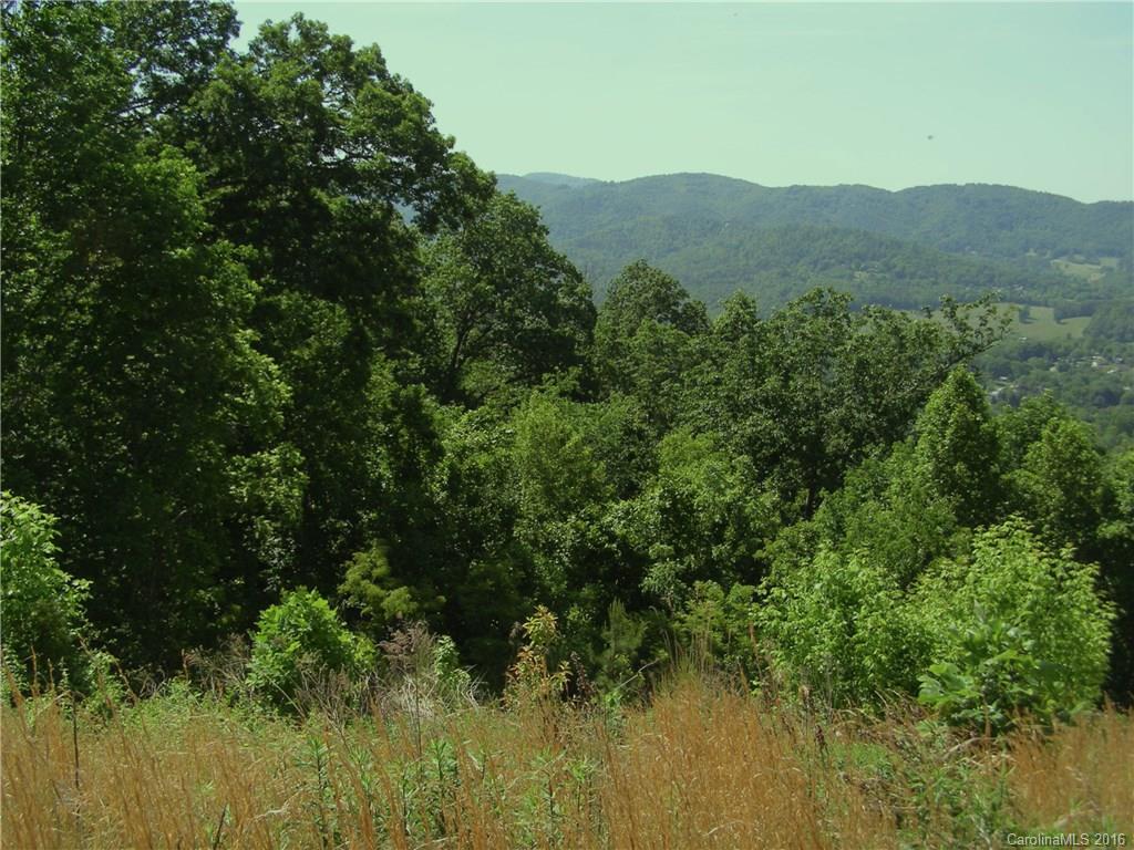 Hamburg Mountain - Land