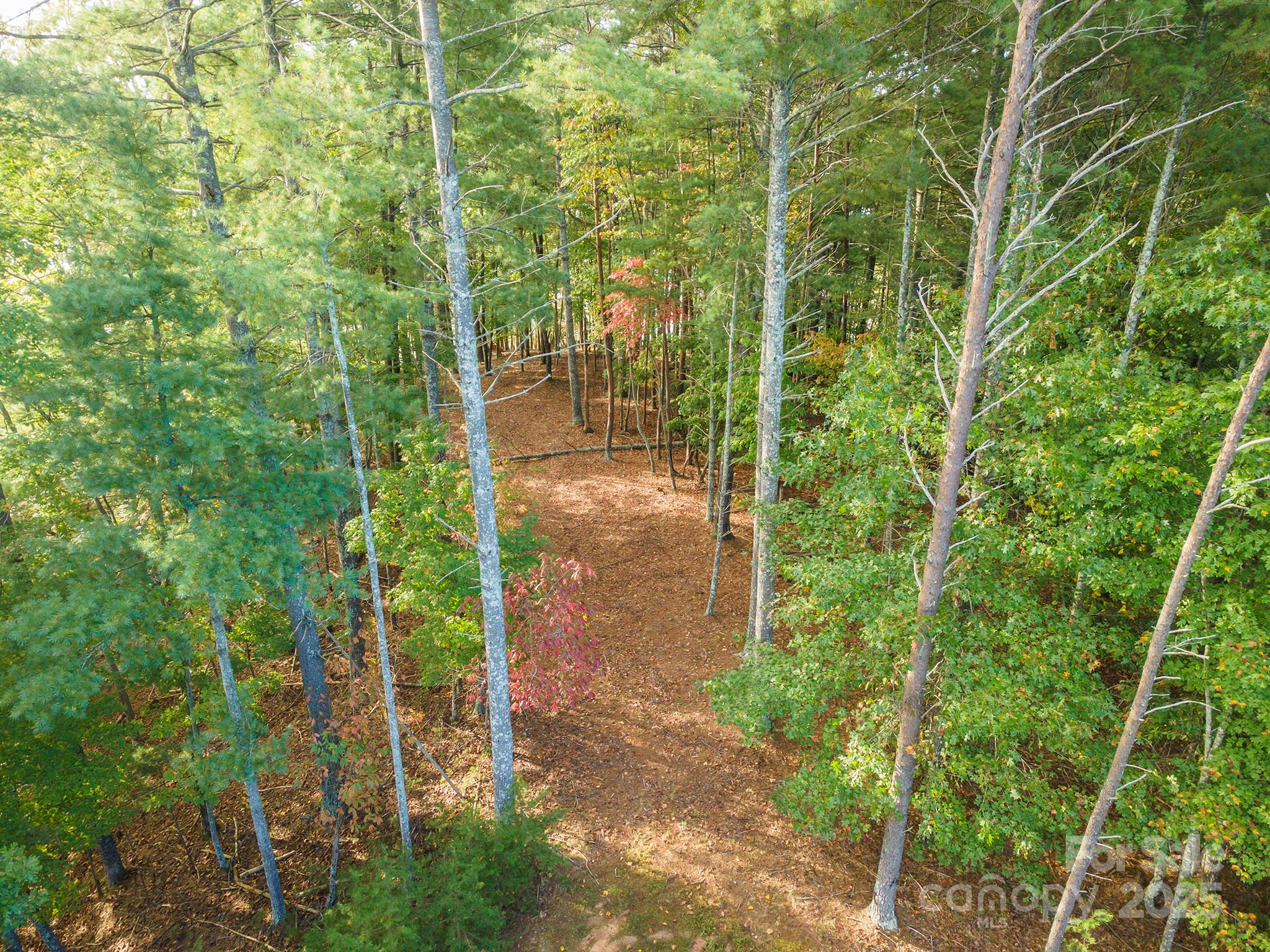 1439 Camp Firestone Drive