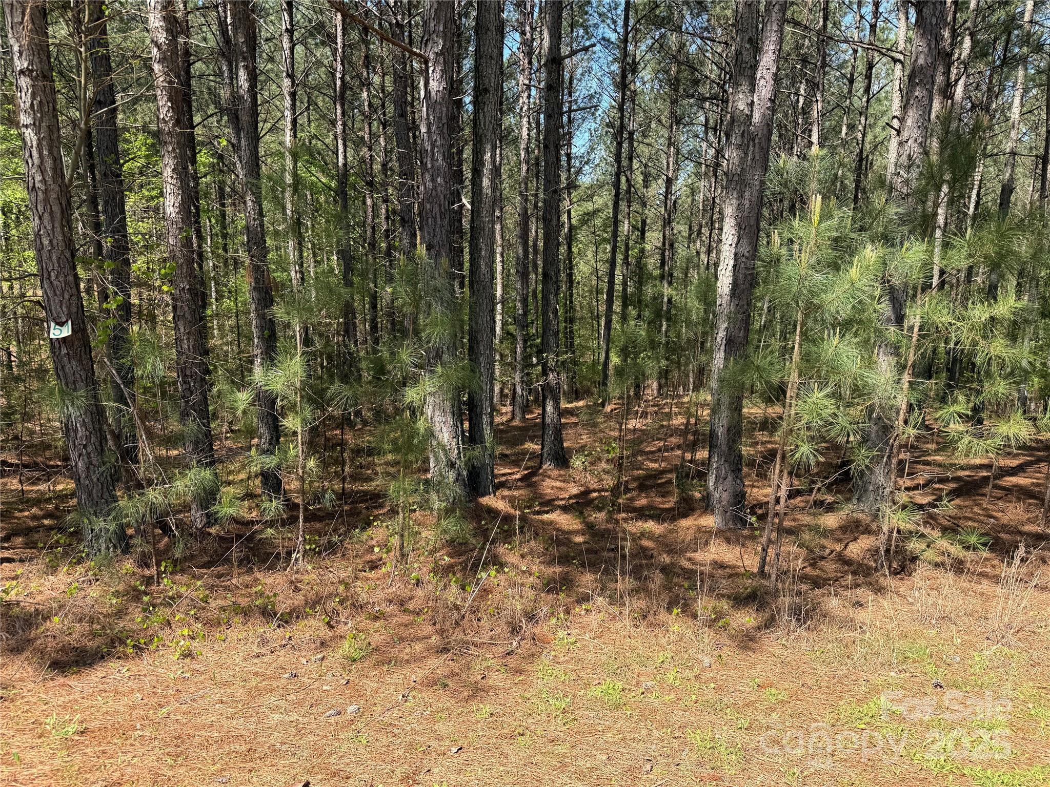 108 Whispering Pines Lane