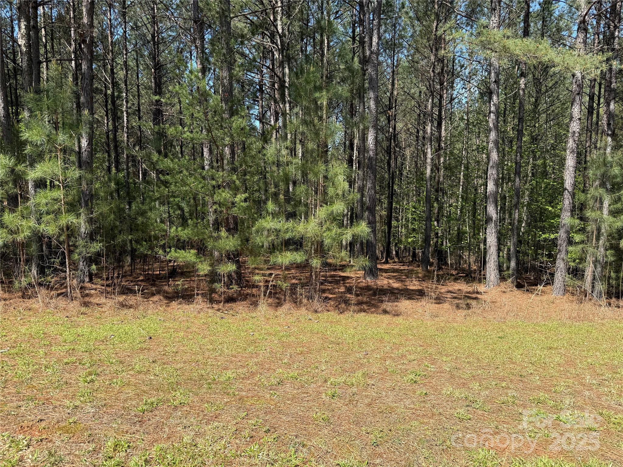 108 Whispering Pines Lane
