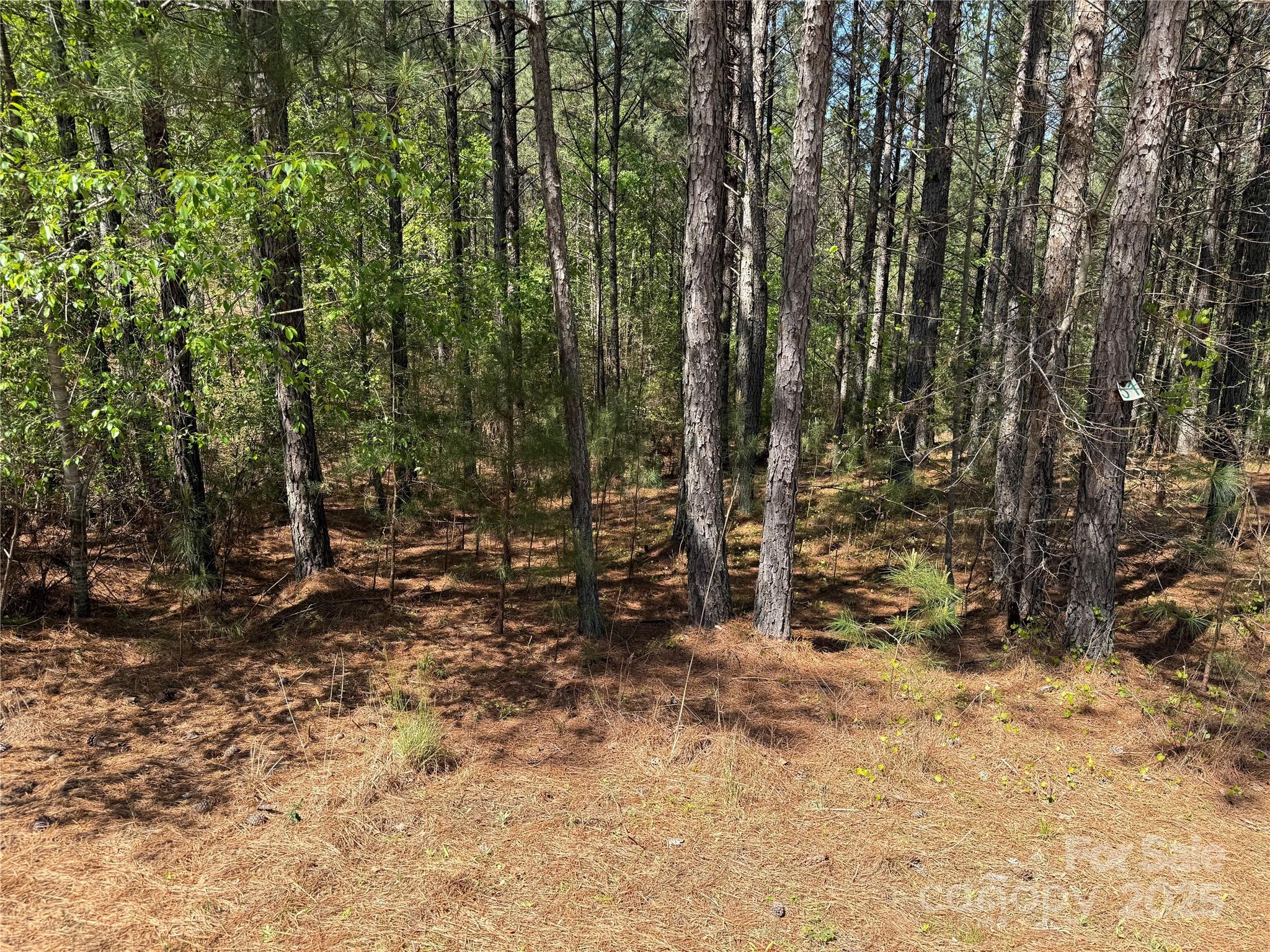 108 Whispering Pines Lane