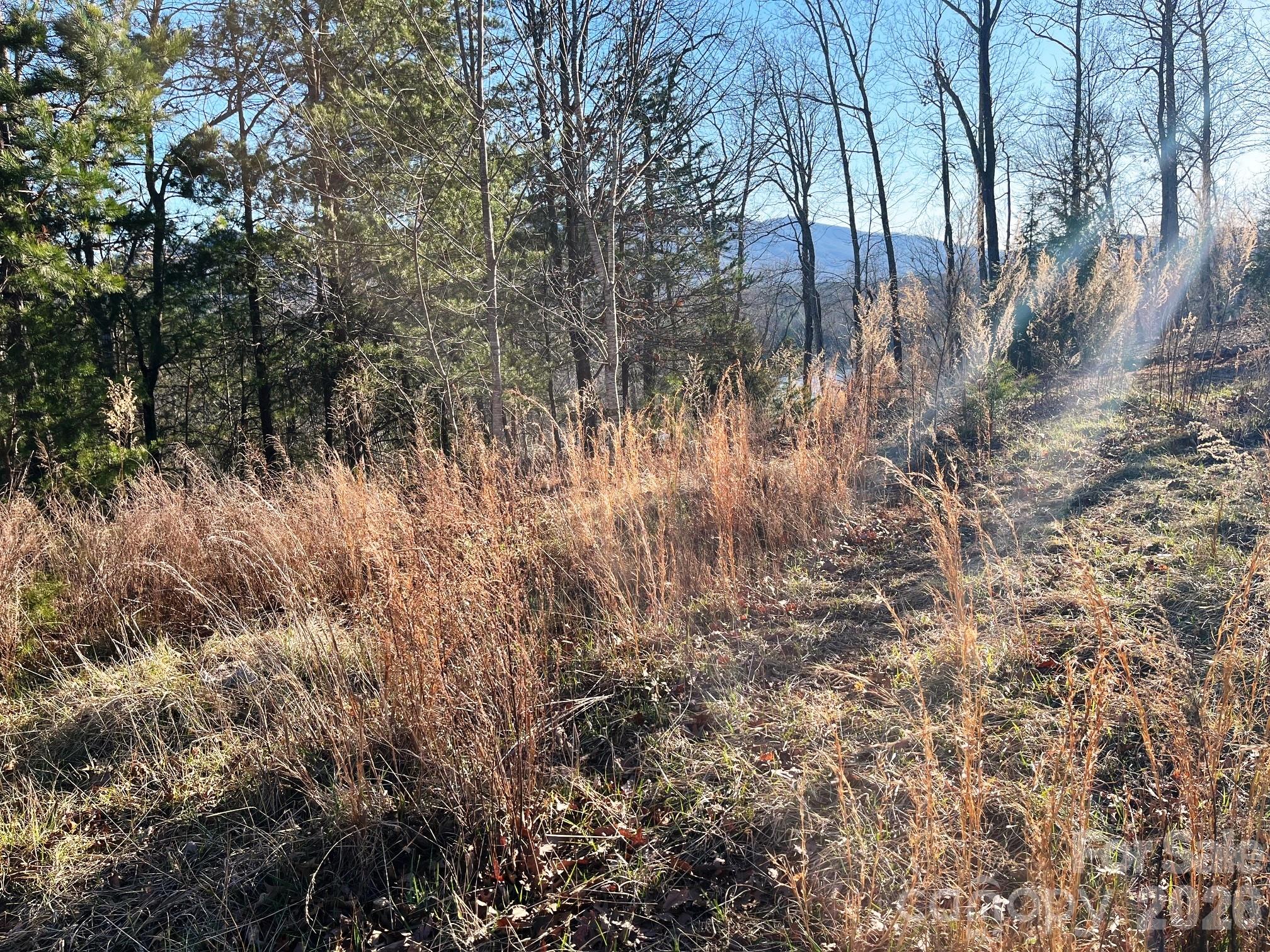 Lot 30 Mountain Parkway