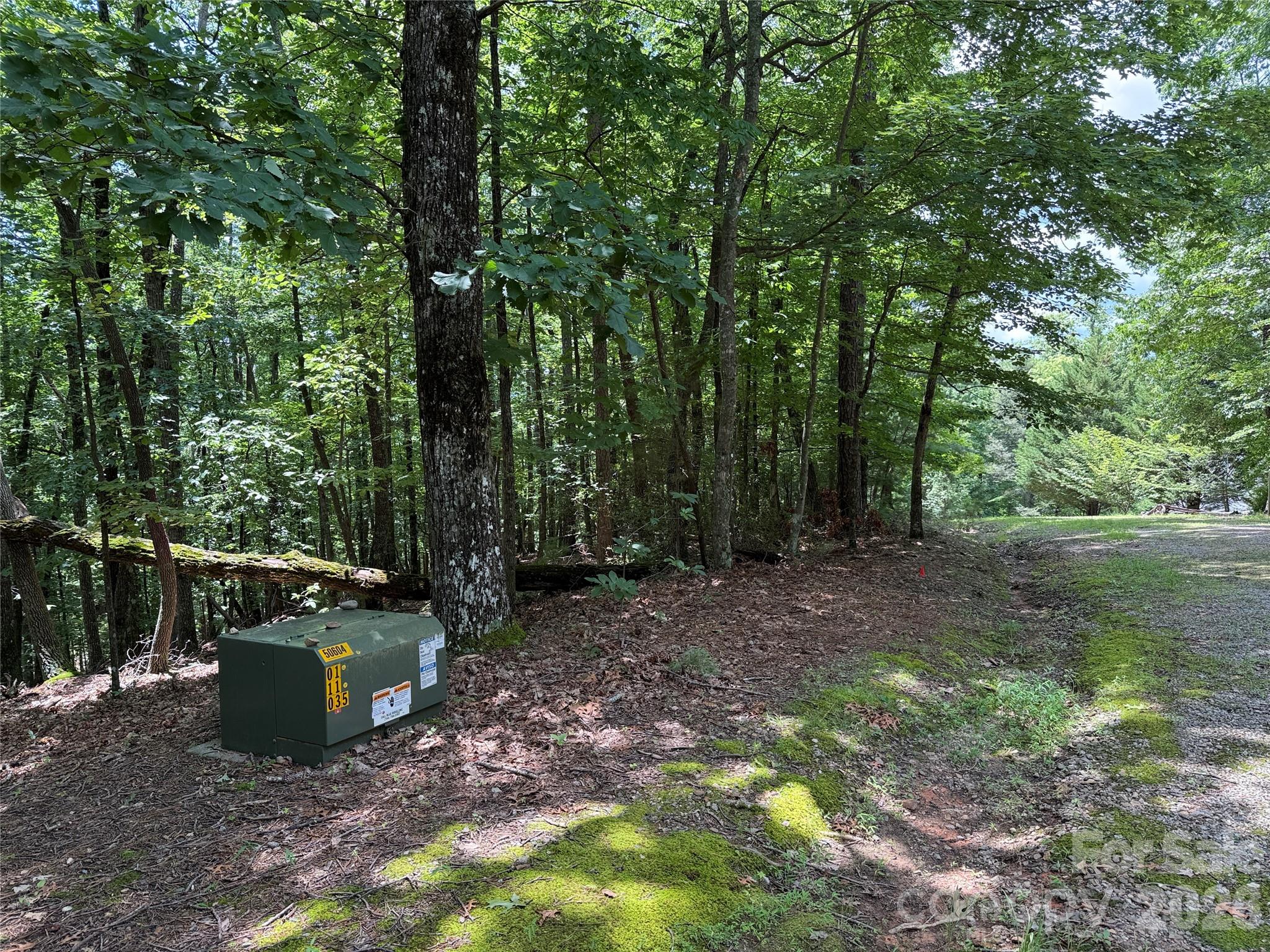 Buck Mountain - Land